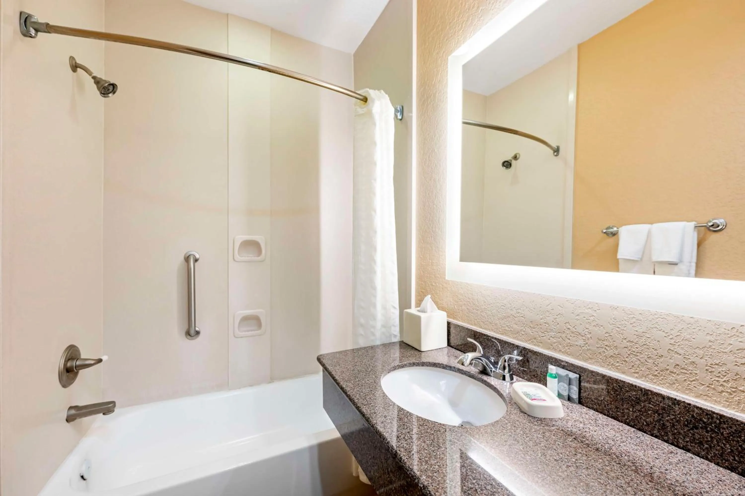 Bathroom in Best Western Lubbock West Inn & Suites