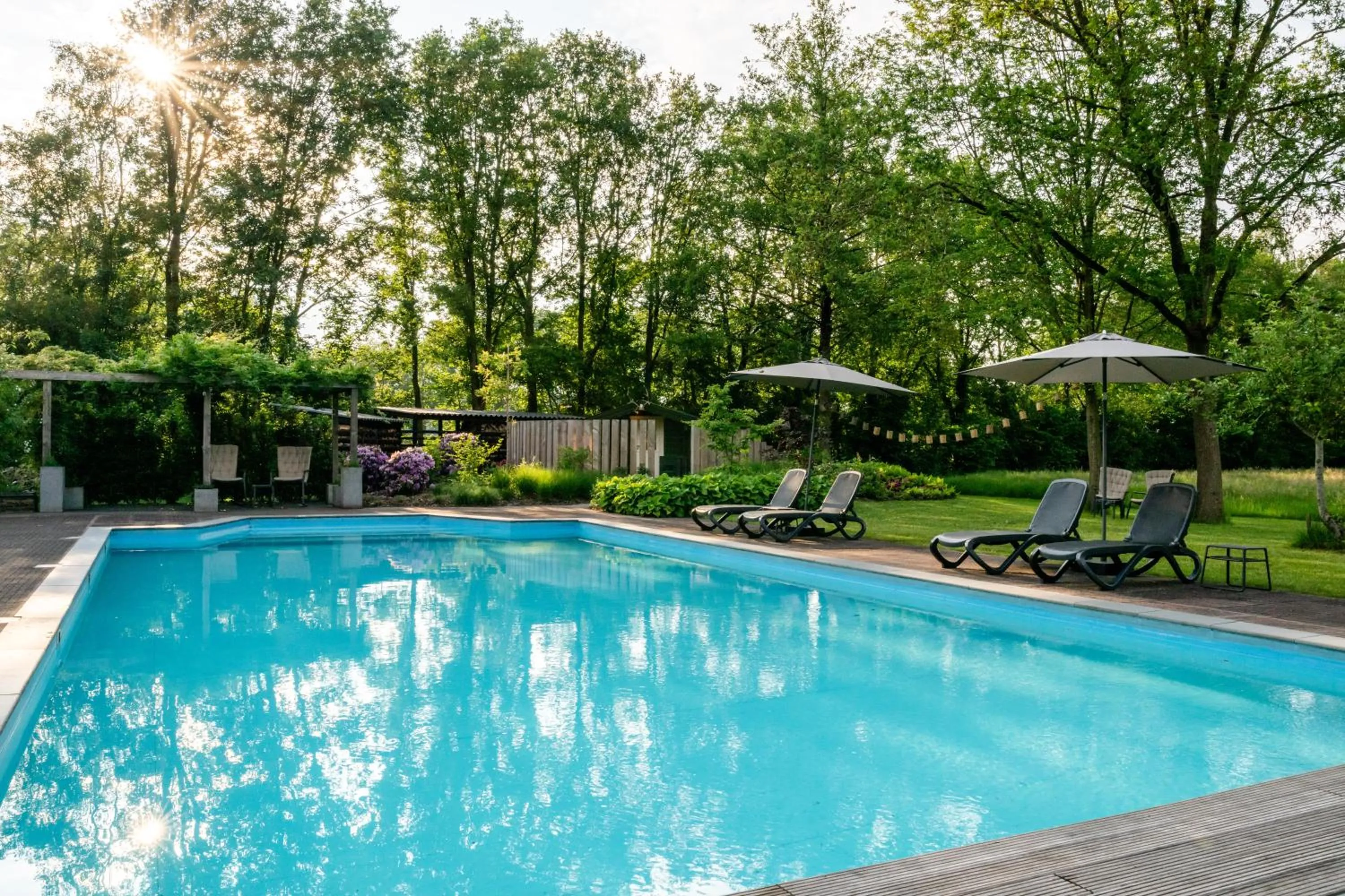 Pool view in B&B Otterstee