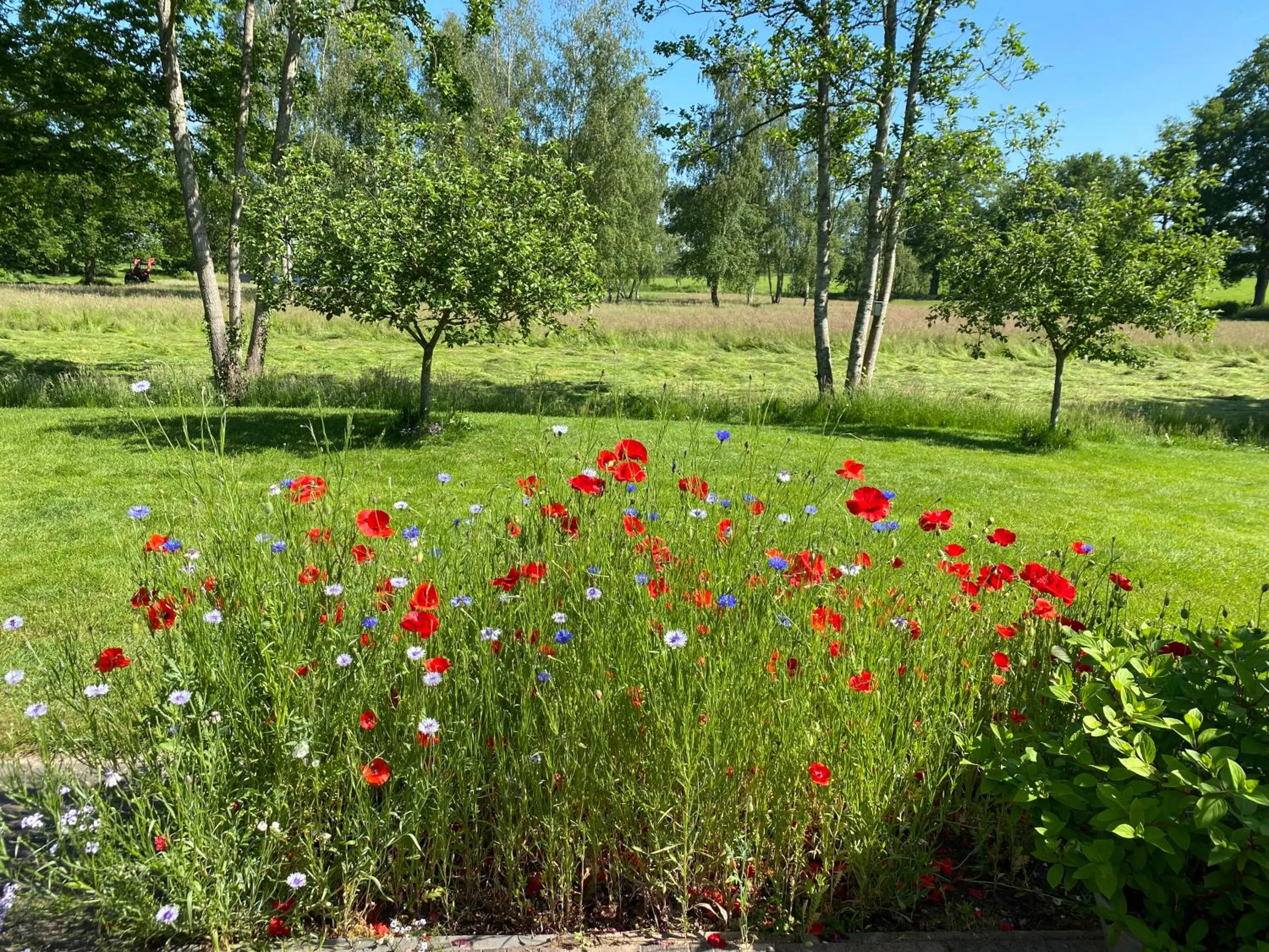 Garden view in B&B Otterstee