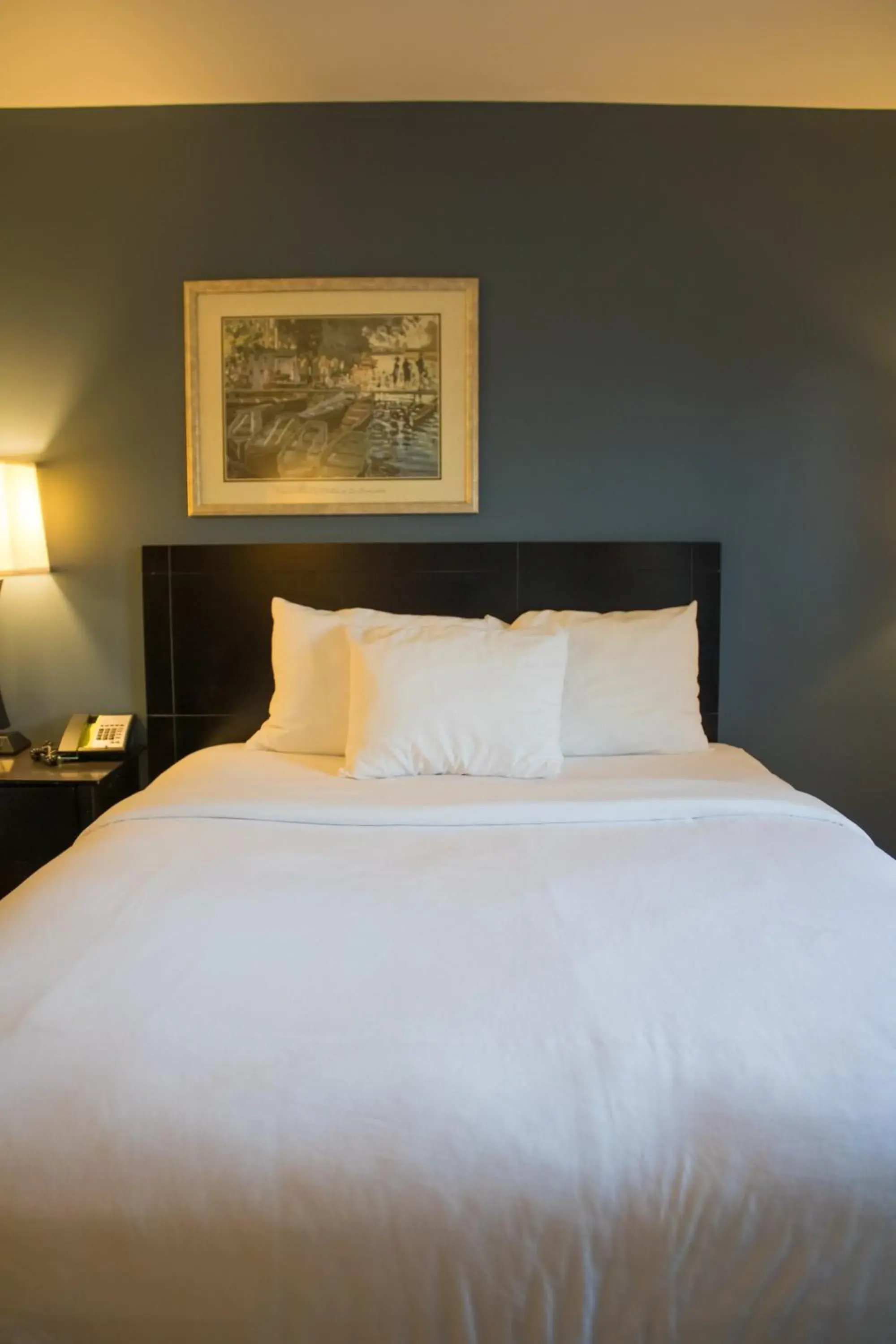 Bed in Baymont by Wyndham Howell/Brighton Bed in Baymont by Wyndham Howell/Brighton