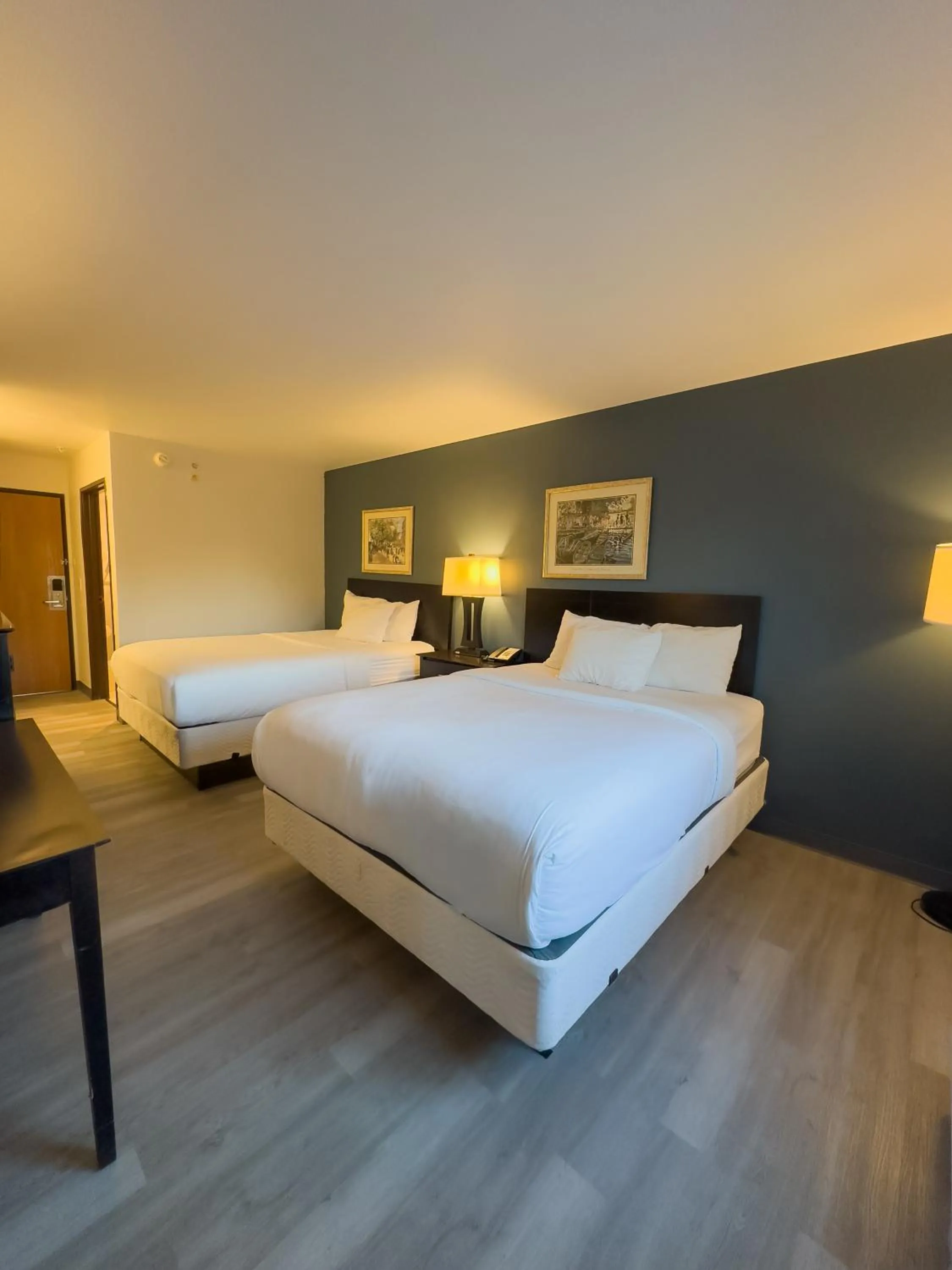 Bed in Baymont by Wyndham Howell/Brighton