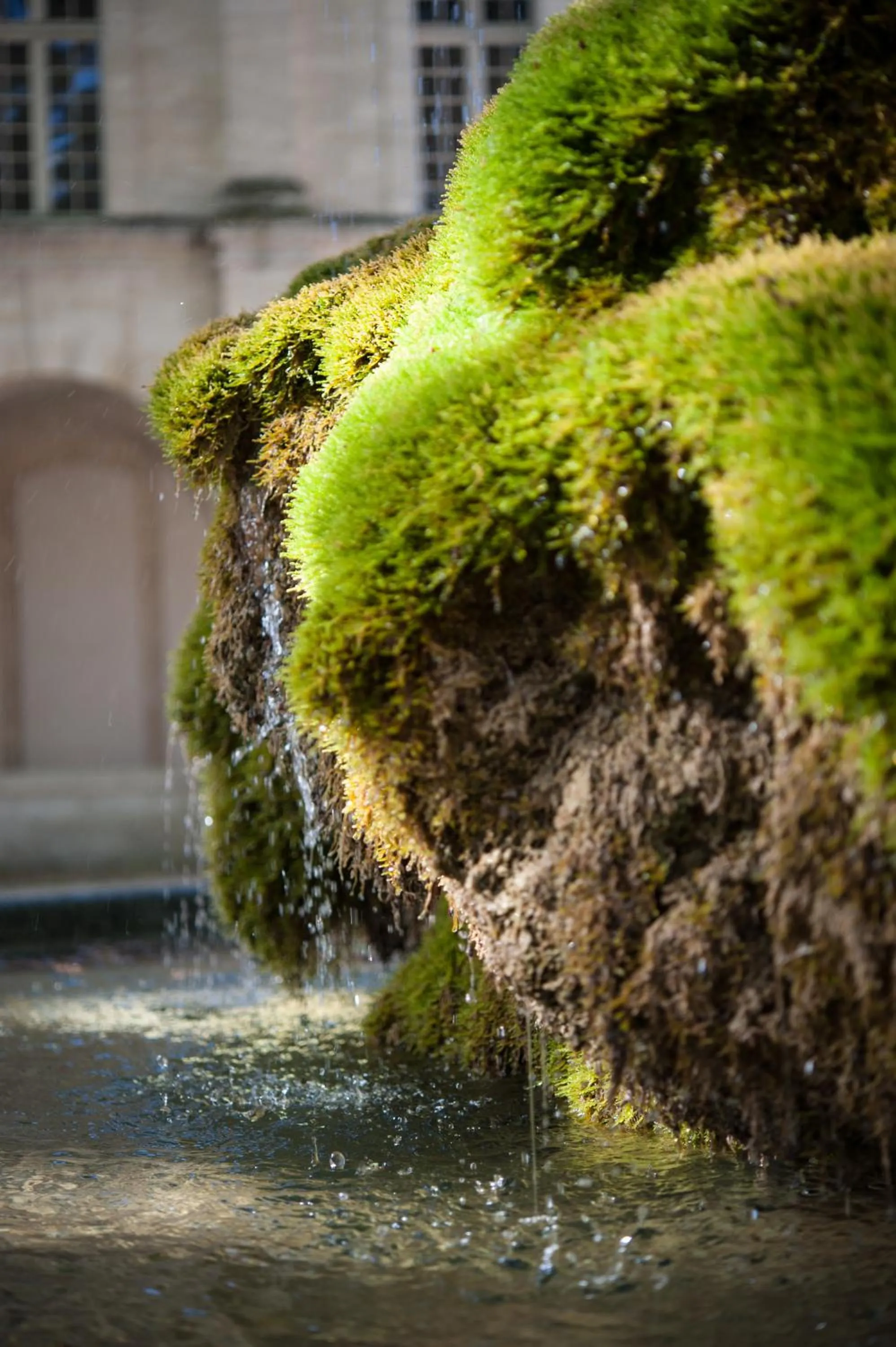 View (from property/room) in Hôtel Cloitre Saint Louis Avignon