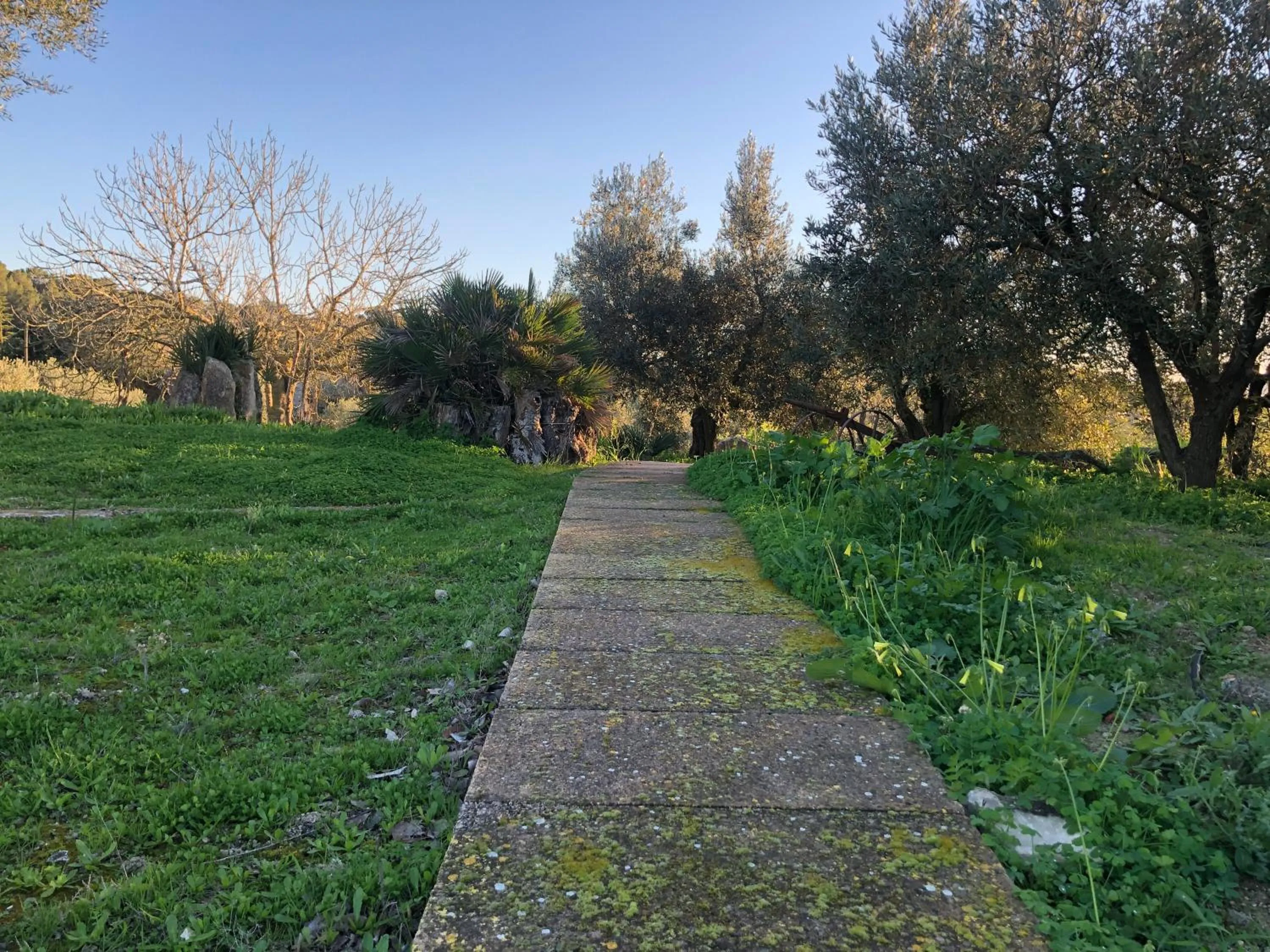Natural landscape in Finca es Rafal, Agroturisme