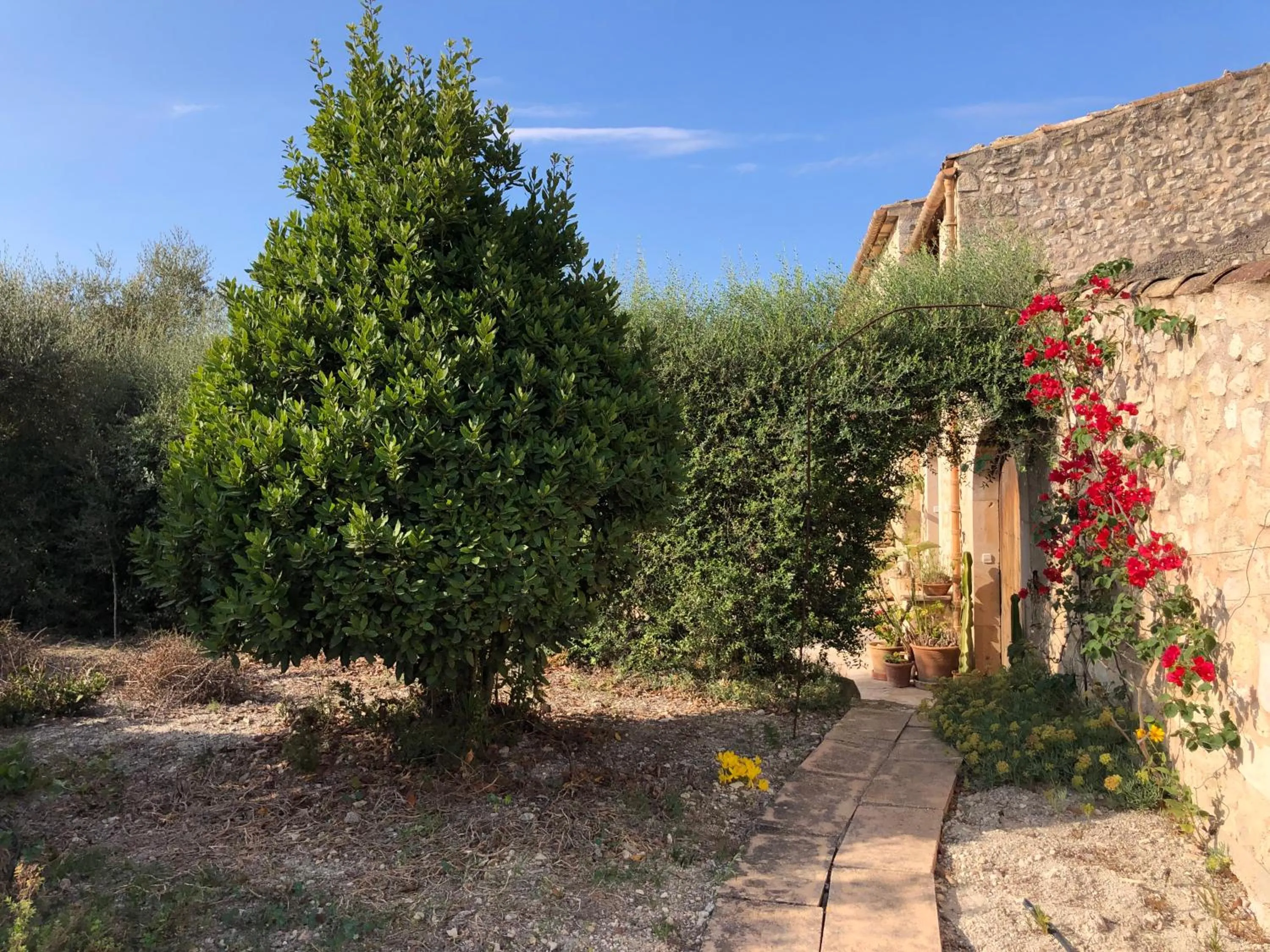 Garden in Finca es Rafal, Agroturisme