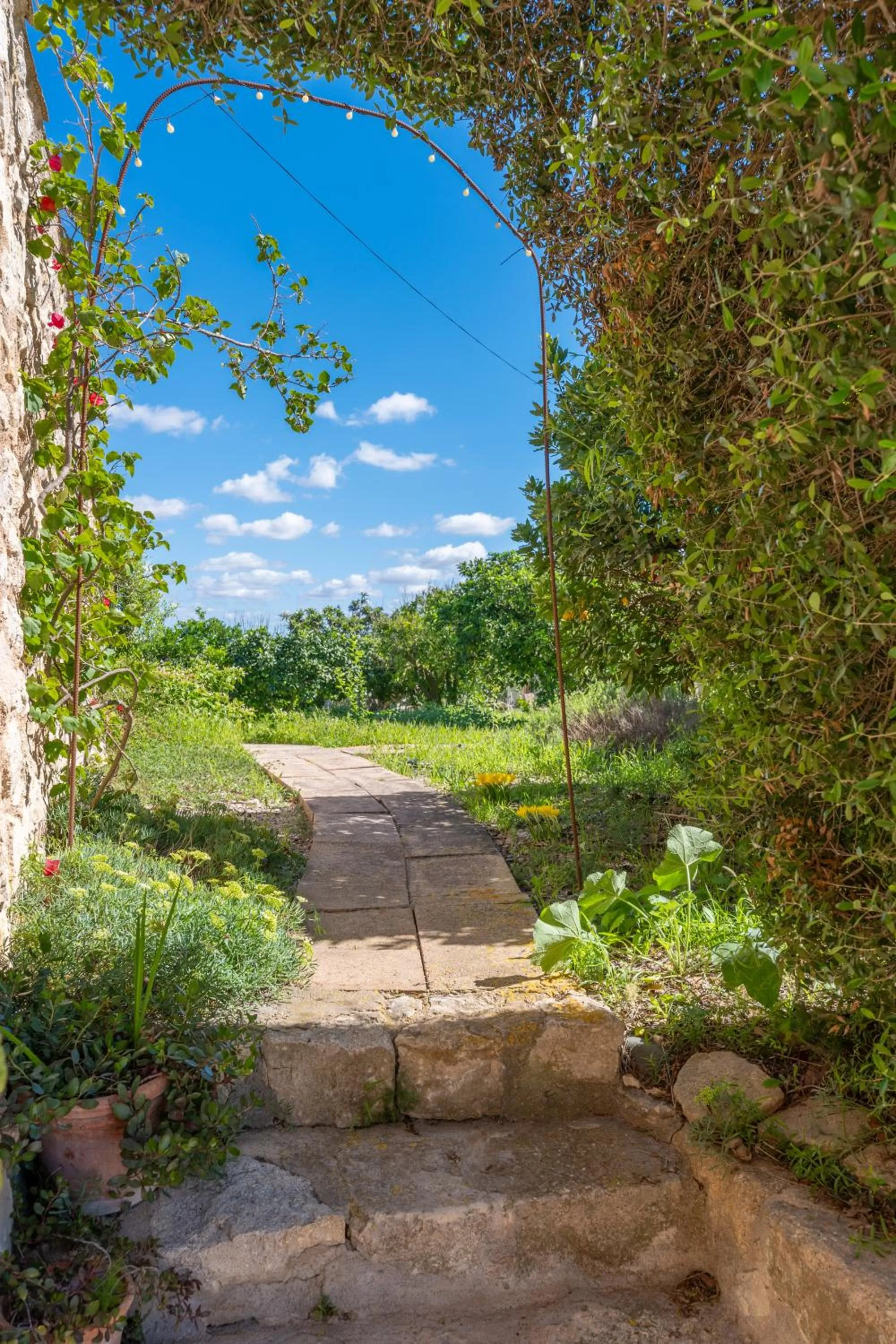 Garden in Finca es Rafal, Agroturisme
