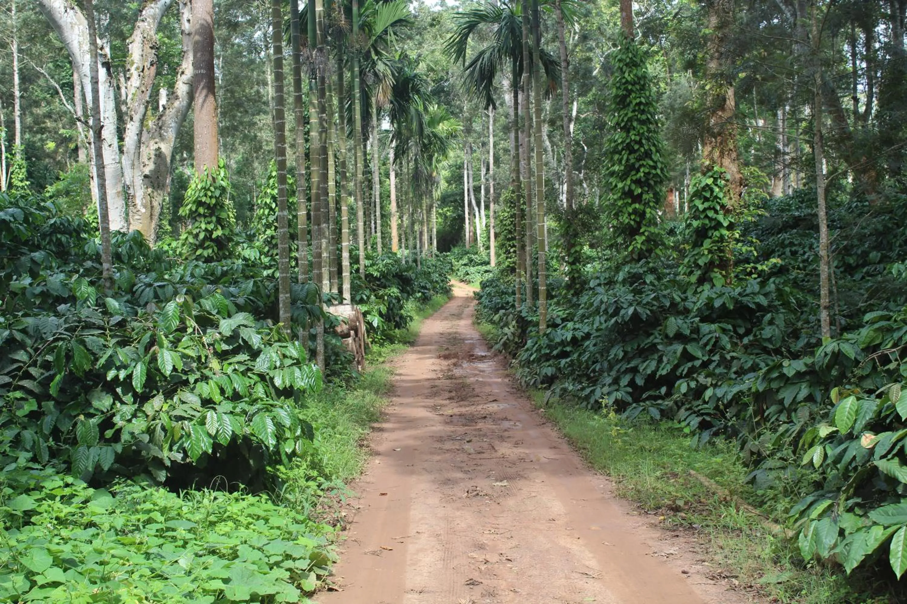 Whistling Woods Farm Stay