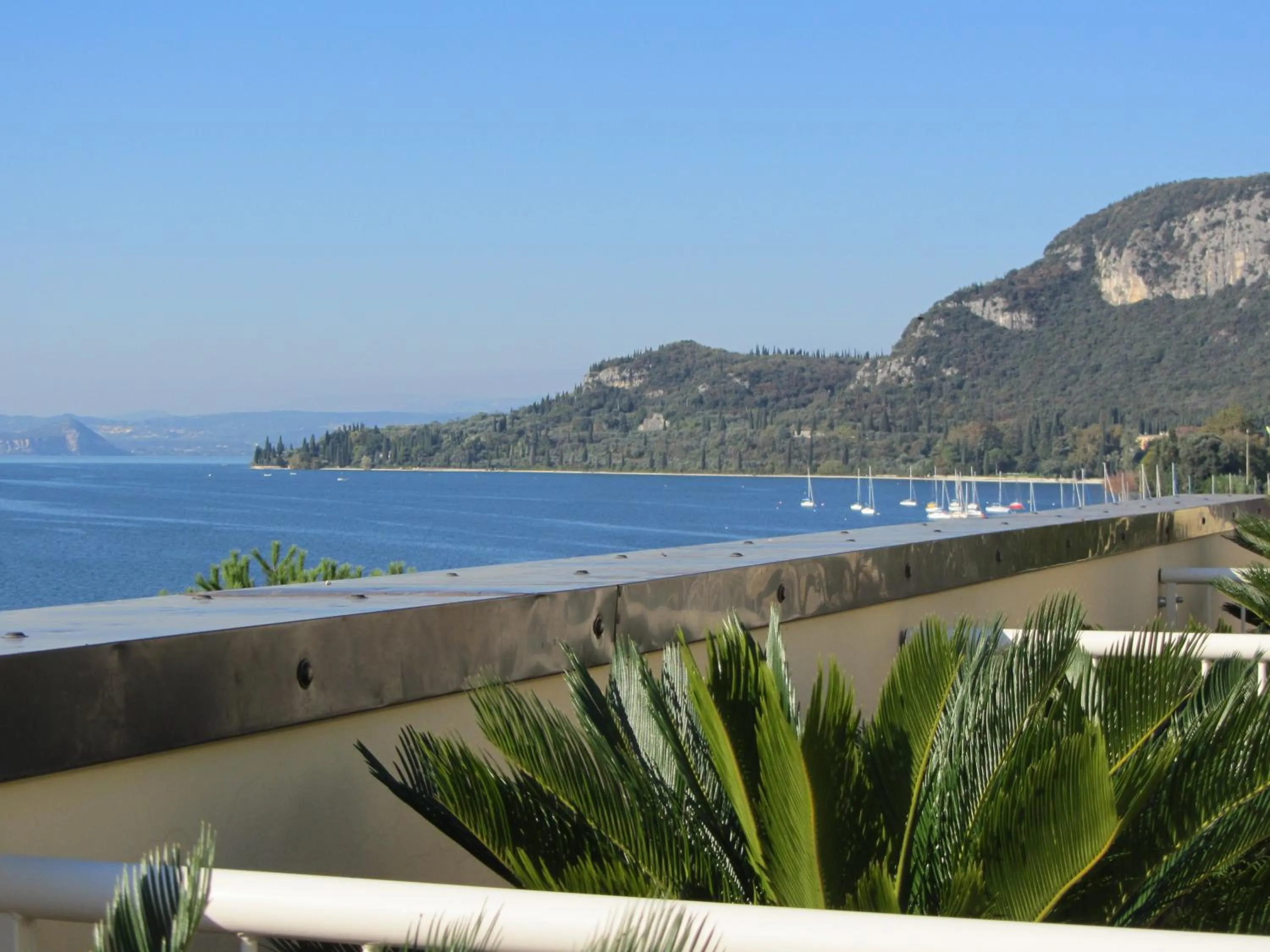 Balcony/Terrace in Hotel Roma