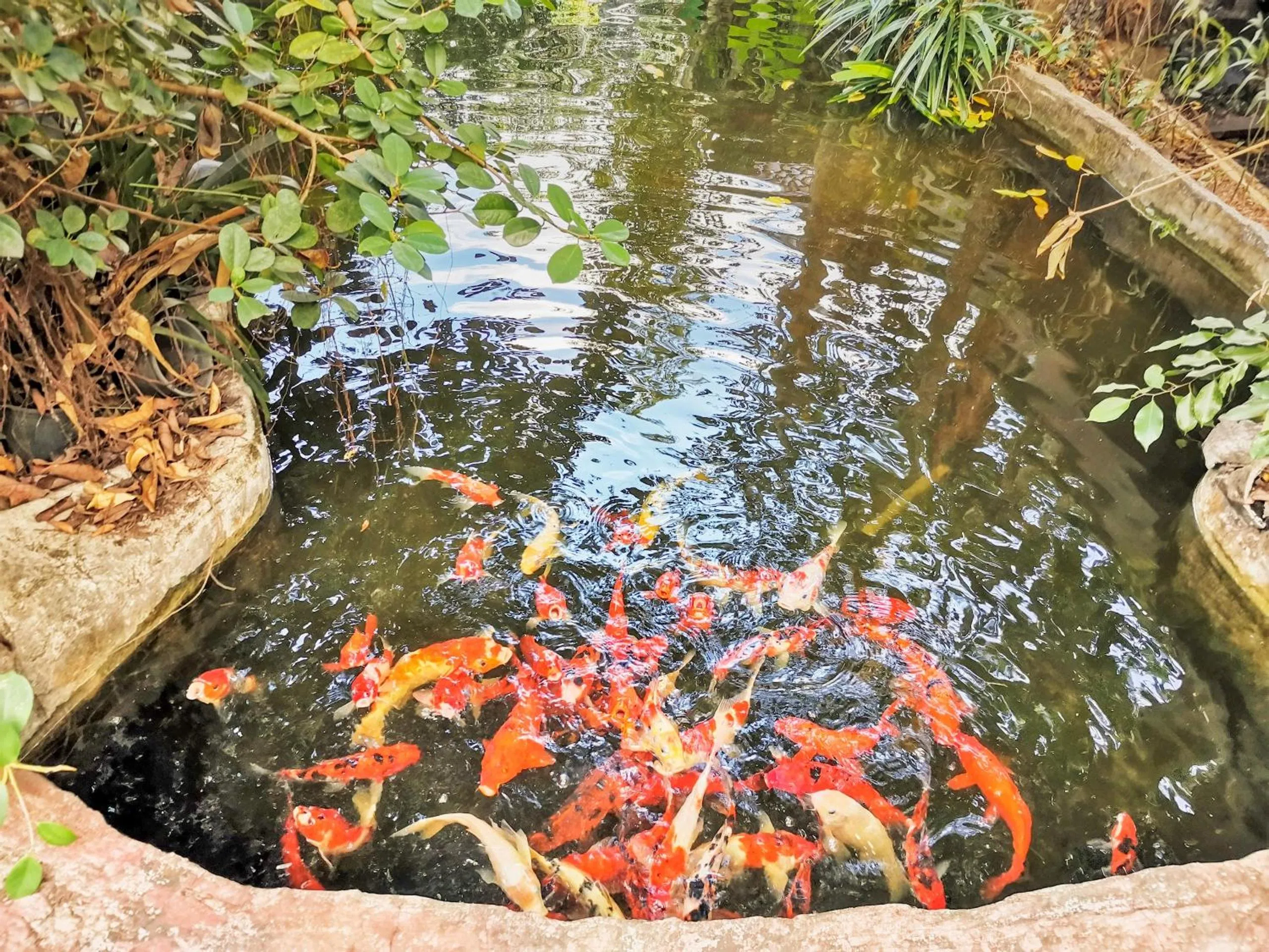 Other in OYO 604 Ruen Mai Horm Resort