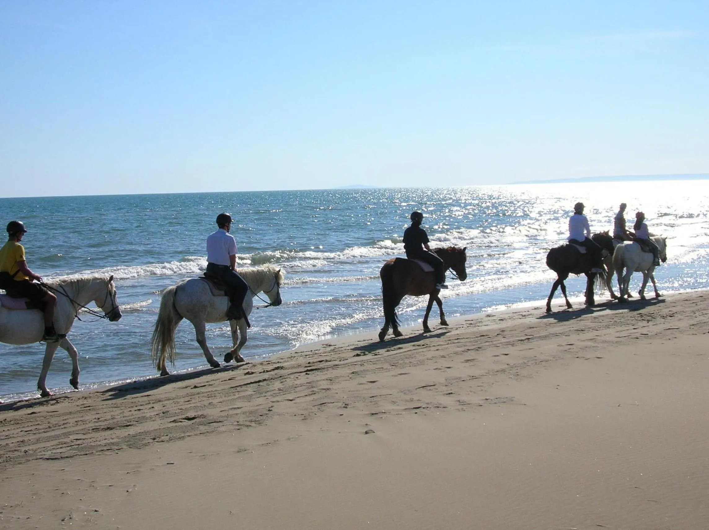 Area and facilities in Kyriad Hotel Montpellier Centre Antigone