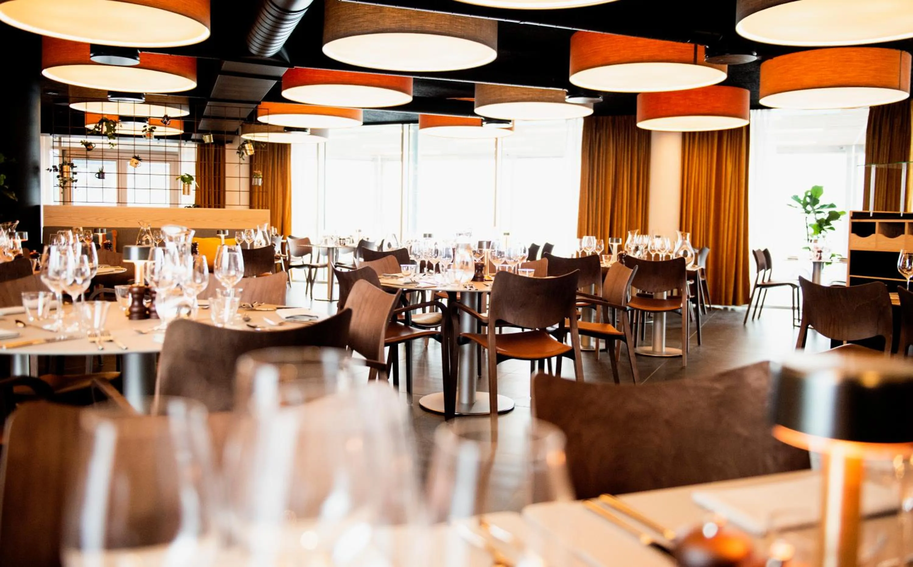 Restaurant/places to eat in Hotel Brandan