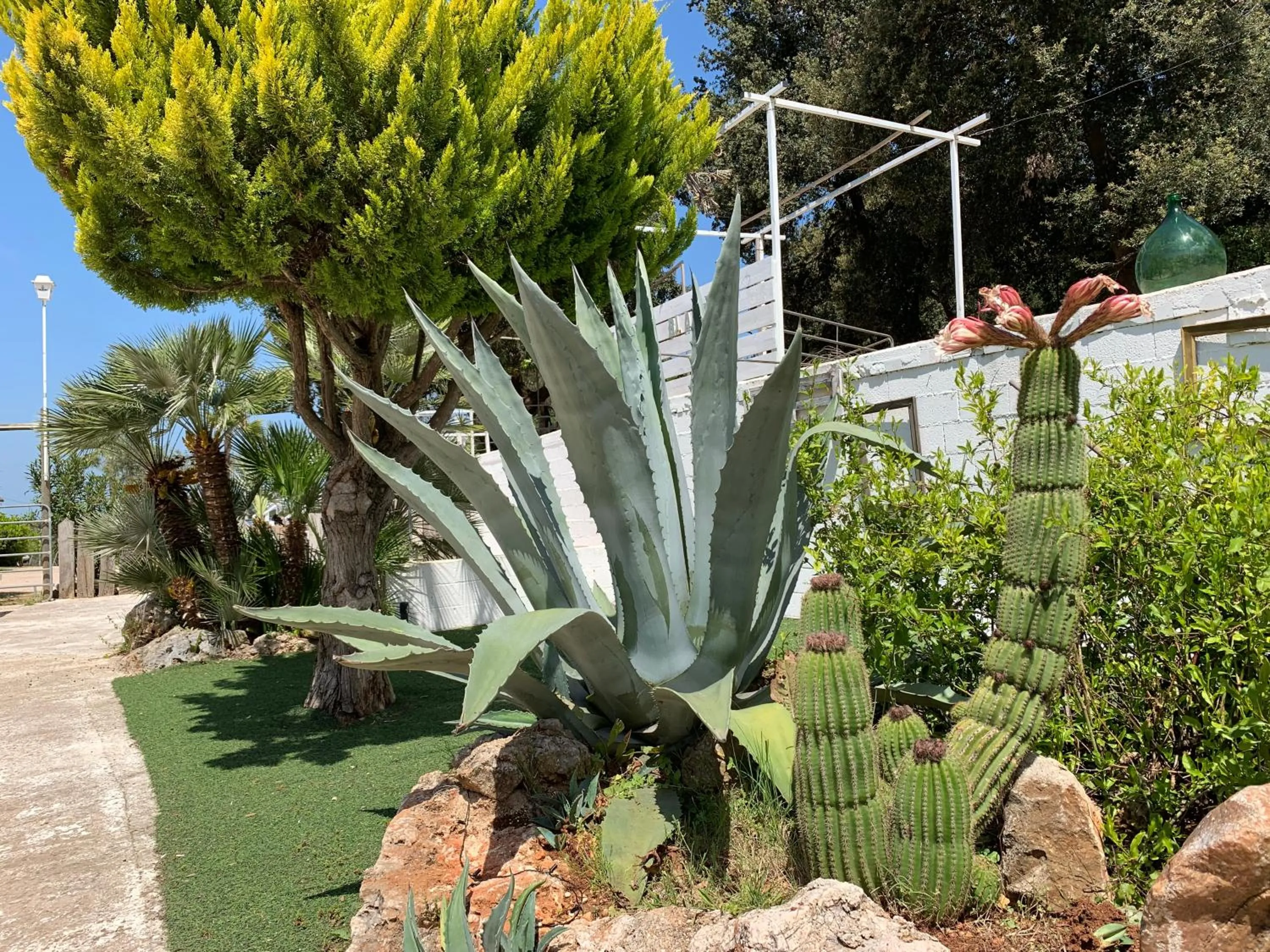 Garden in Madera Blanca