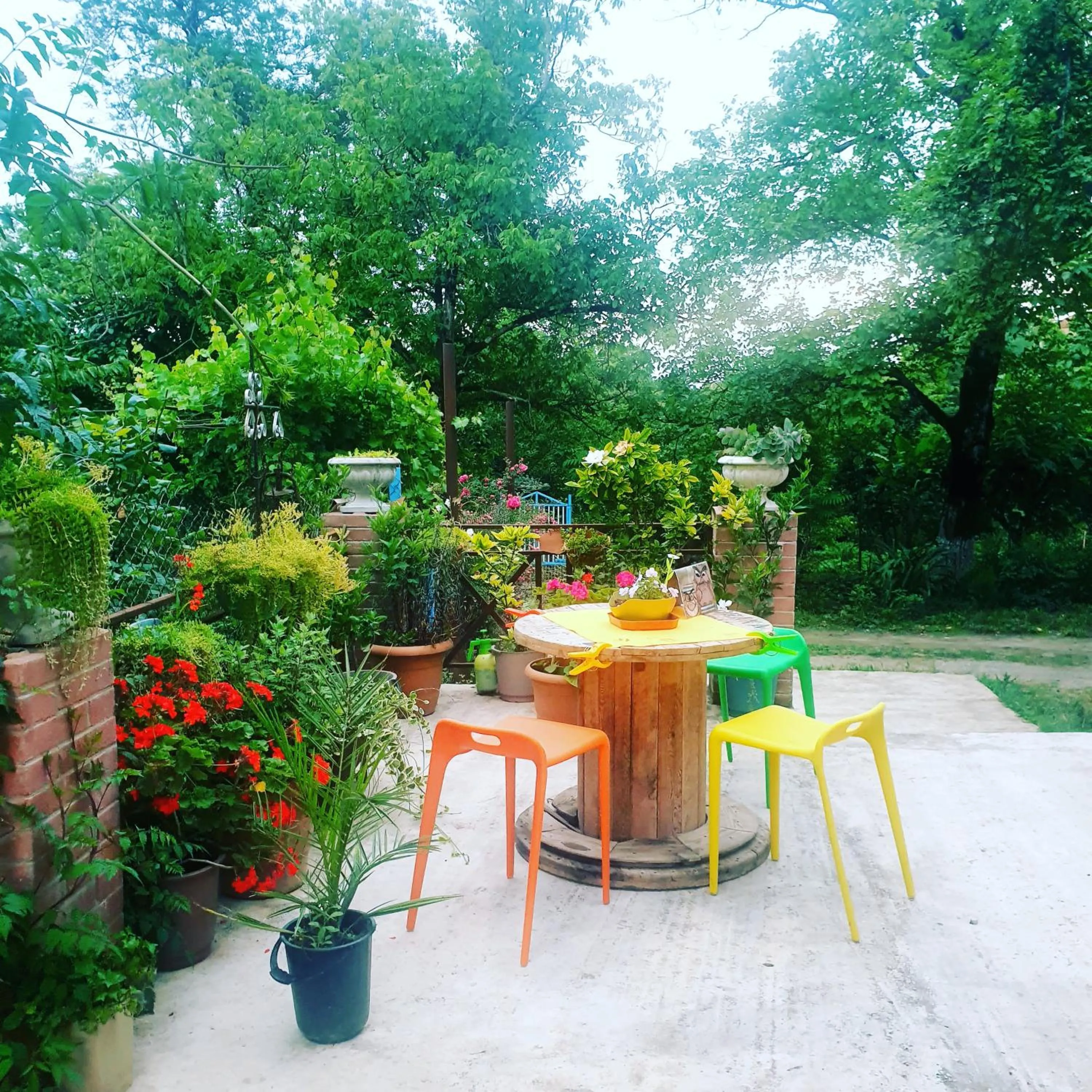 Patio in Four Seasons in Kutaisi