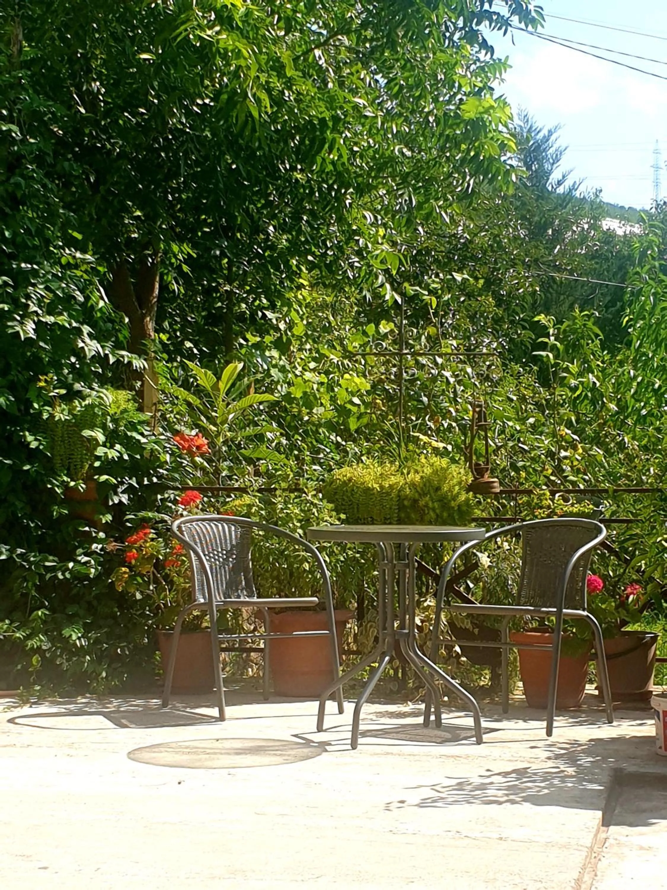 Seating area in Four Seasons in Kutaisi