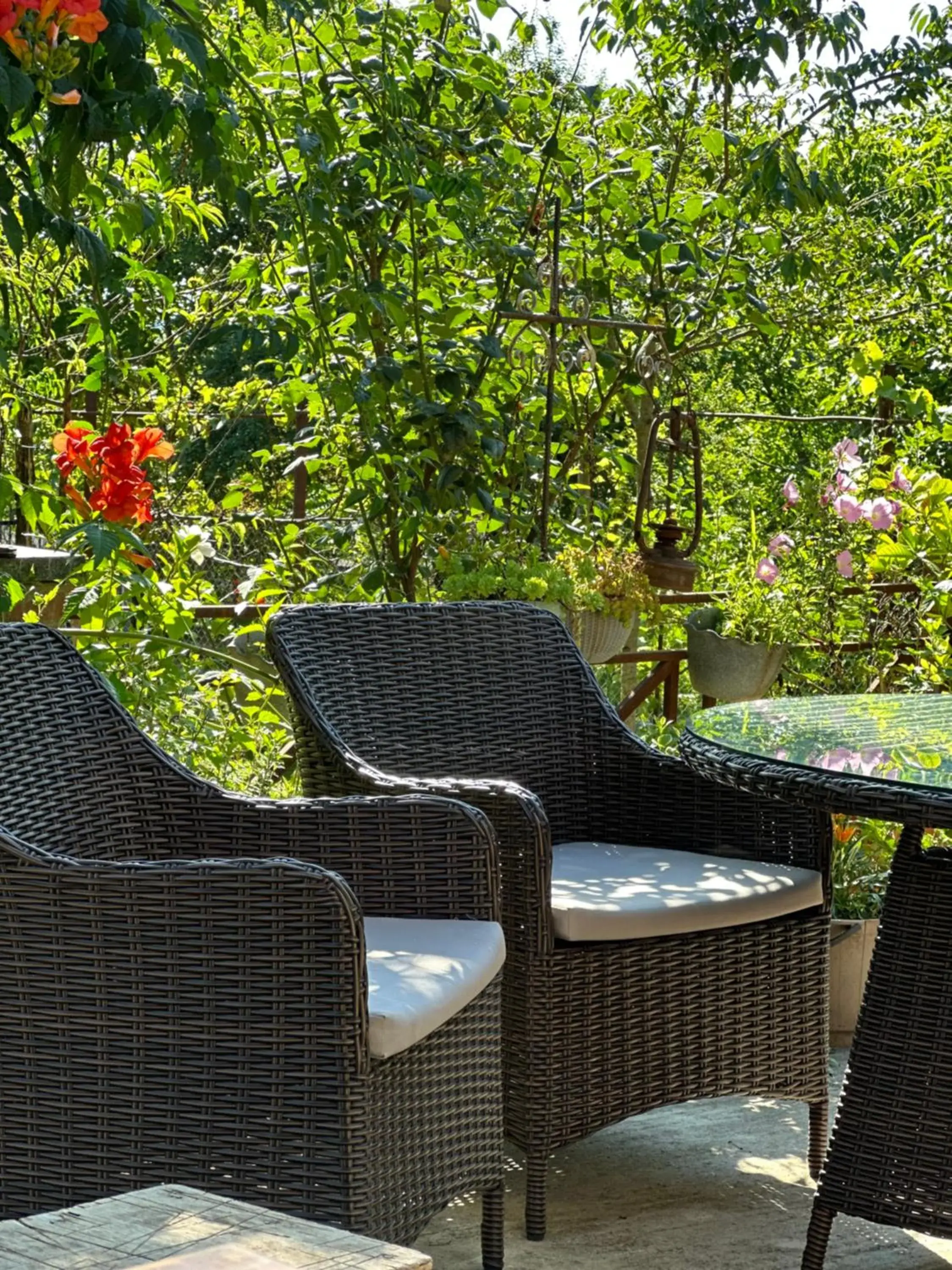Triple Room with Garden View - single occupancy in Four Seasons in Kutaisi Triple Room with Garden View - single occupancy in Four Seasons in Kutaisi