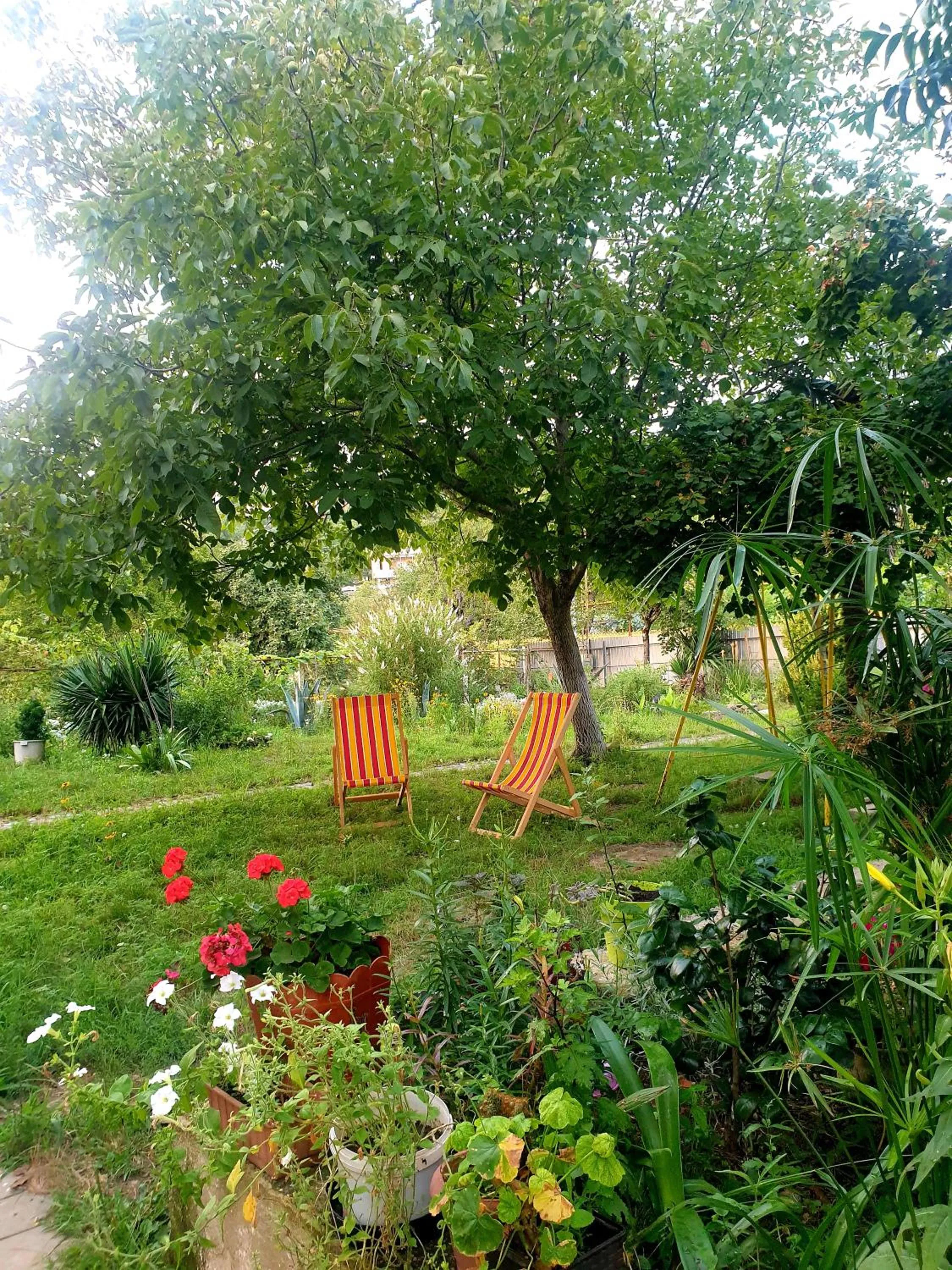 Natural landscape in Four Seasons in Kutaisi