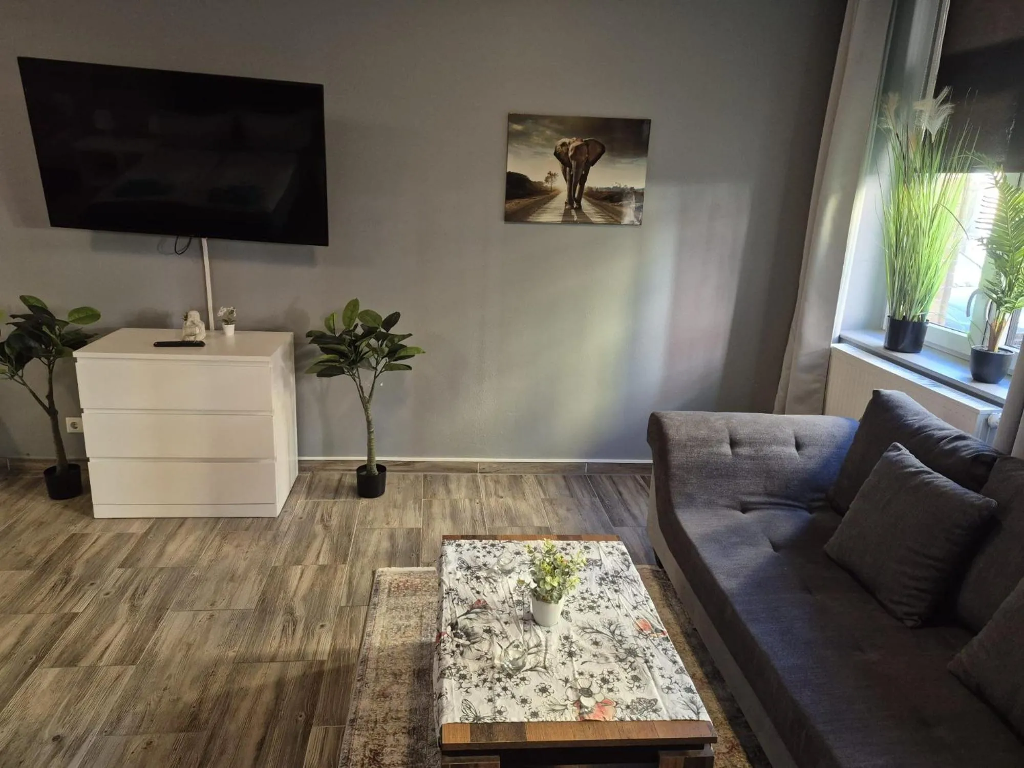 TV and multimedia in Flensburg City - 24h