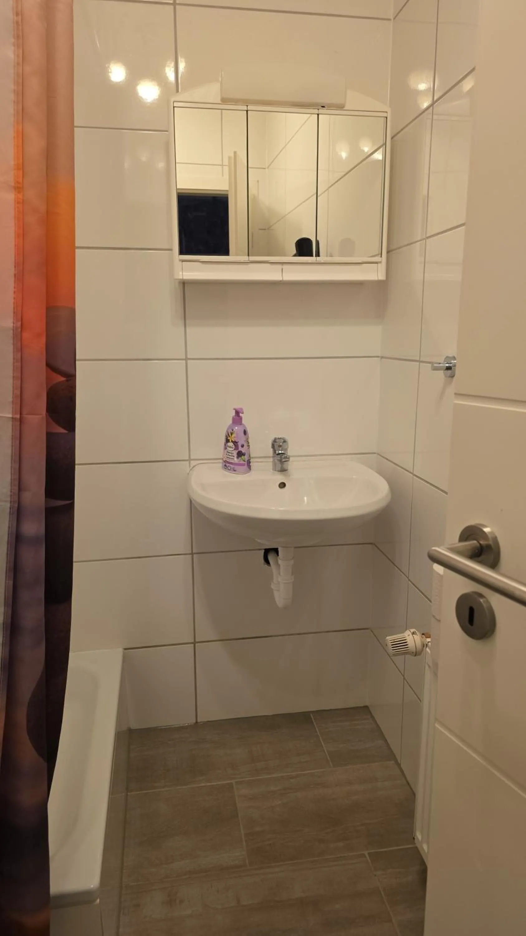 Bathroom in Flensburg City - 24h