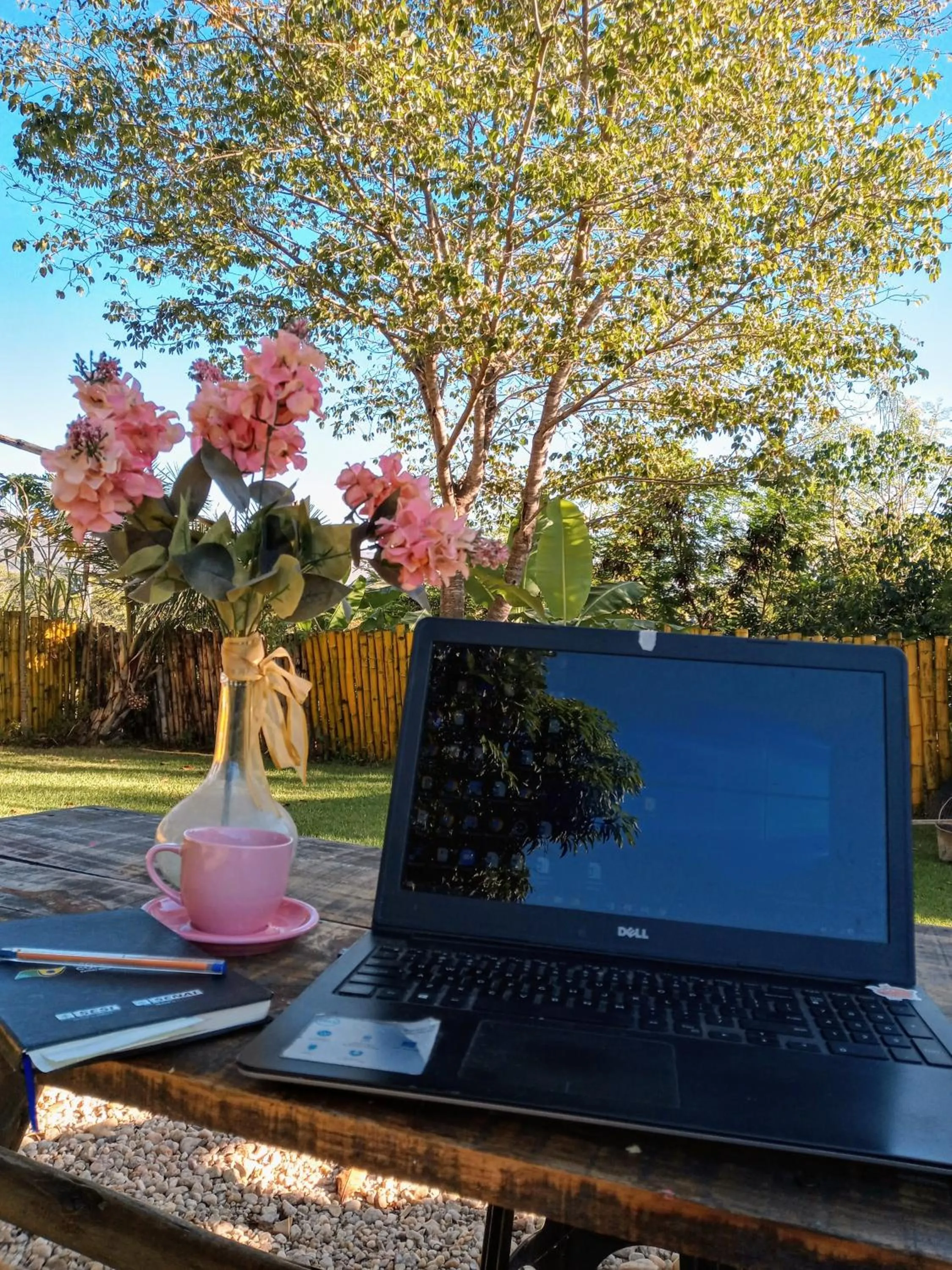 Garden in Hostel Portal Das Fadas