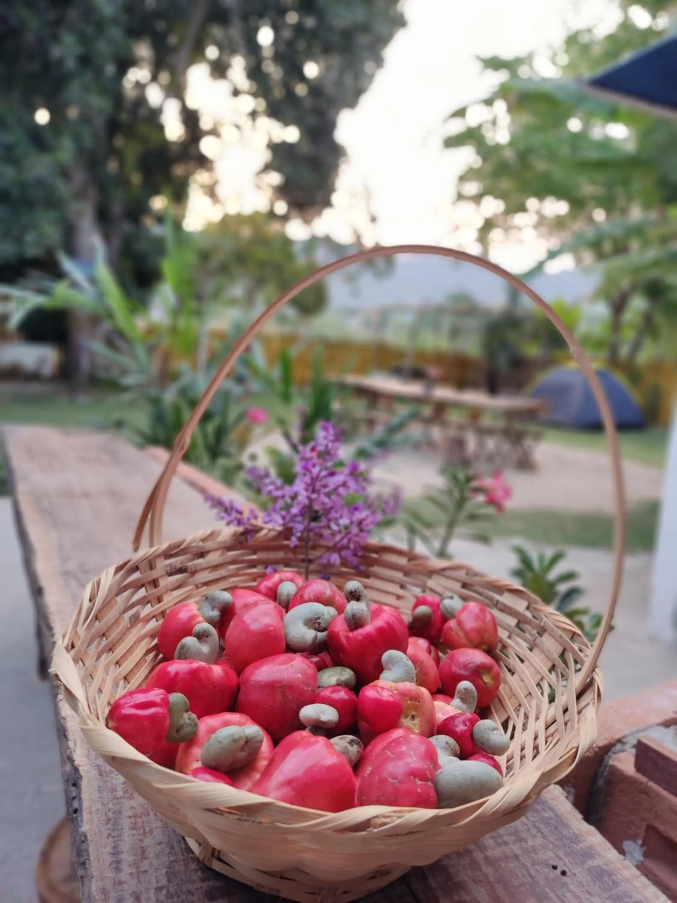Hostel Portal Das Fadas