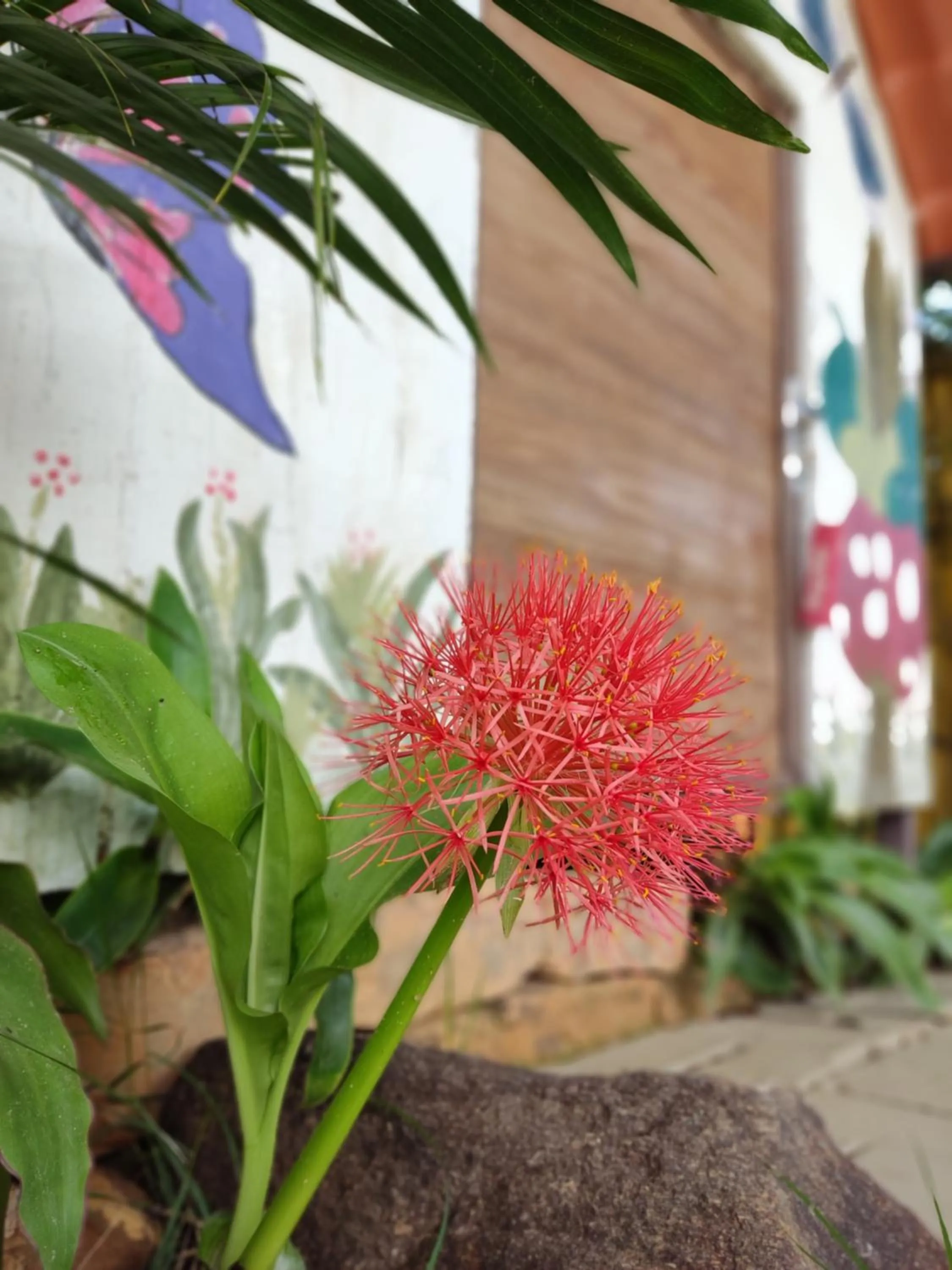 Hostel Portal Das Fadas