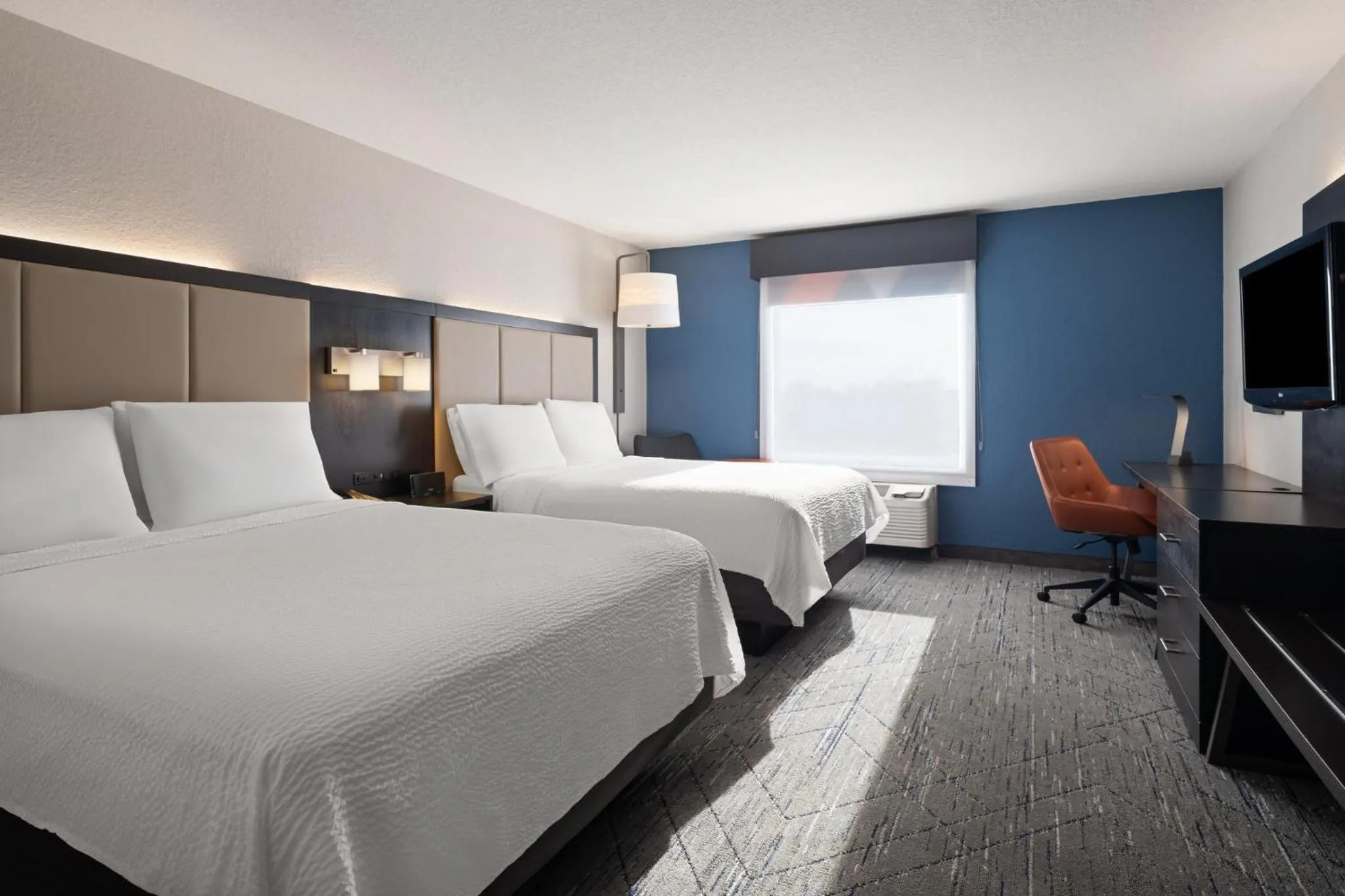 Photo of the whole room, Bed in Holiday Inn Express St. Petersburg North / I-275 by IHG