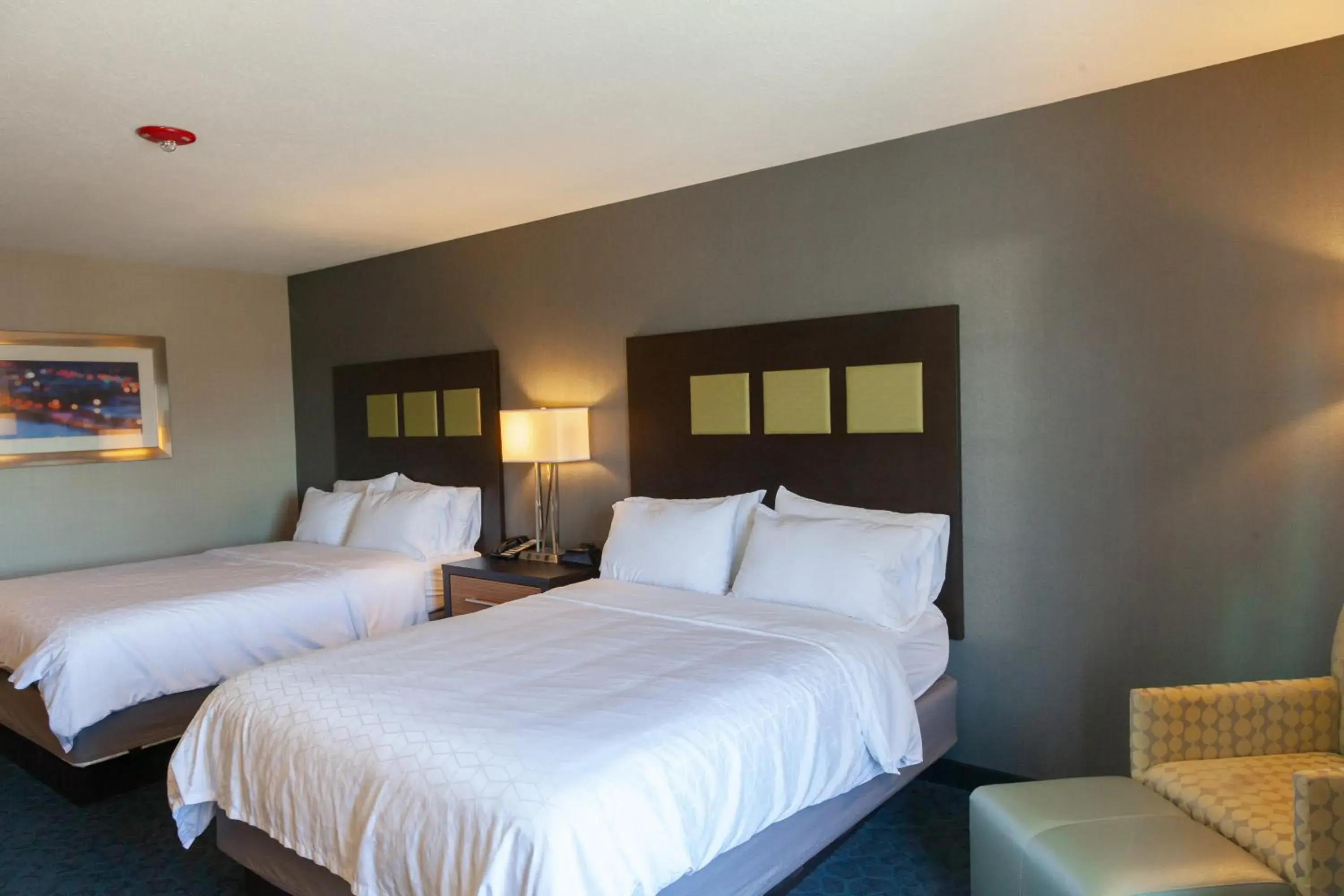 Standard Room in Holiday Inn Express Jackson by IHG Standard Room in Holiday Inn Express Jackson by IHG