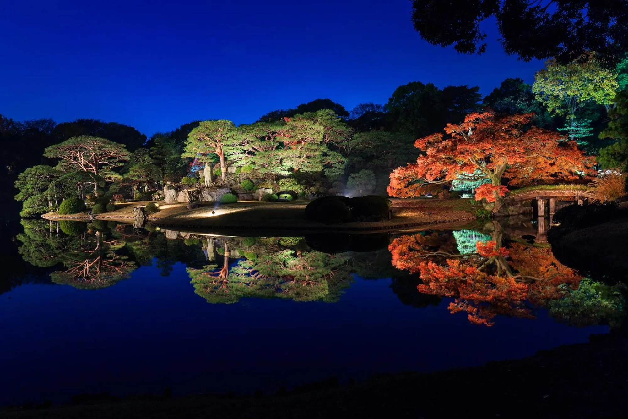 Nearby landmark in IKIDANE Residential Hotel Komagome
