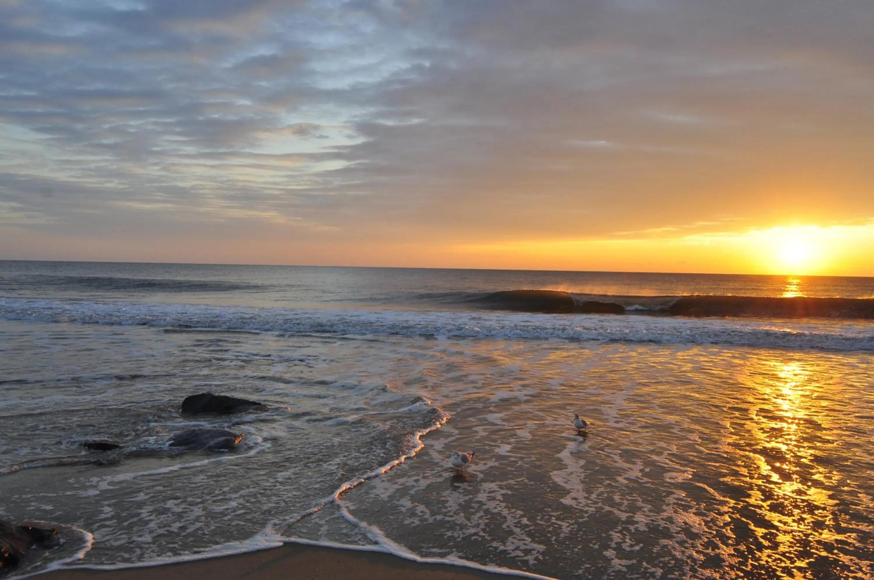 Natural landscape in Crystal Beach Hotel