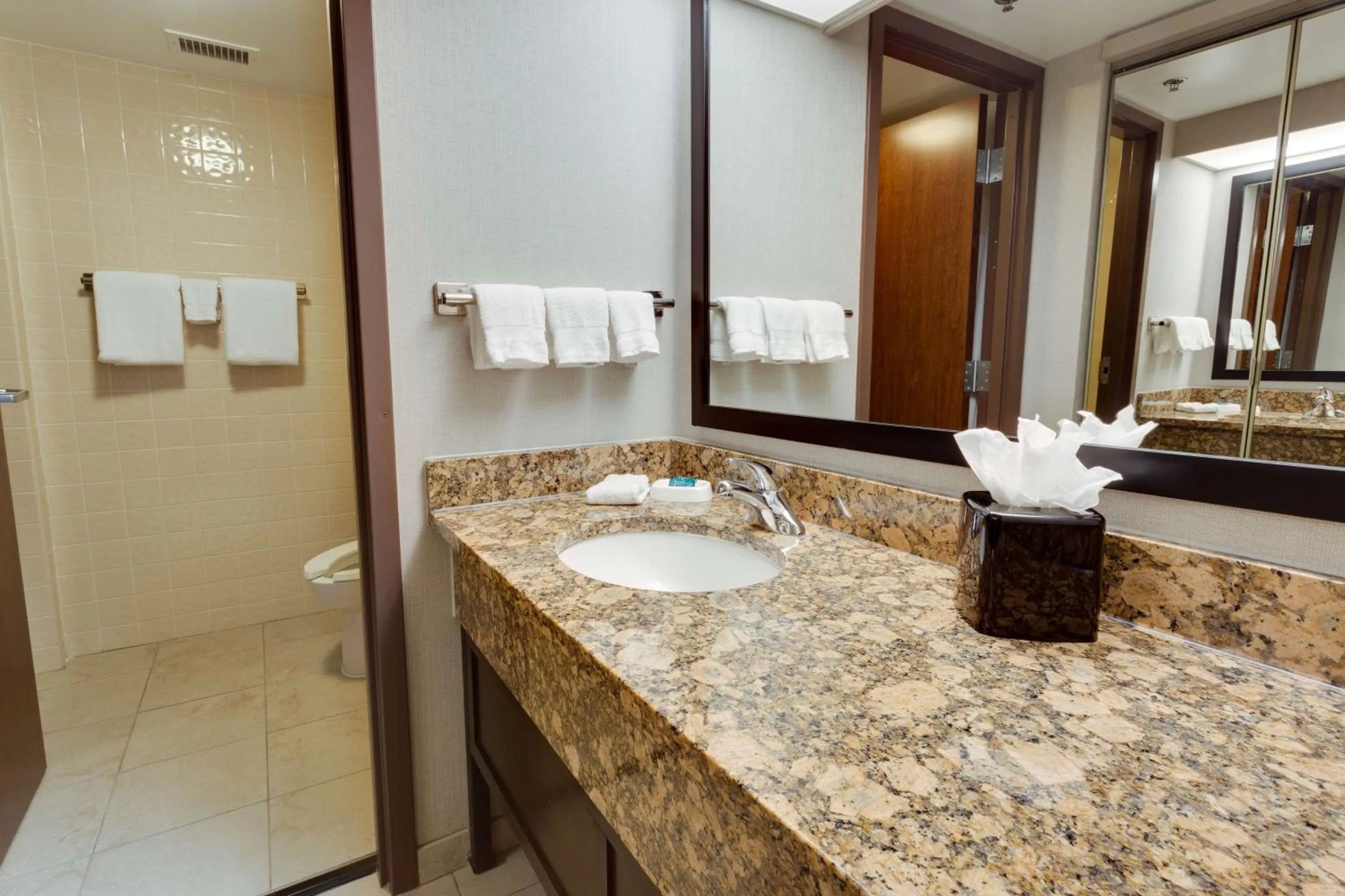 Bathroom in Drury Inn & Suites San Antonio Northeast