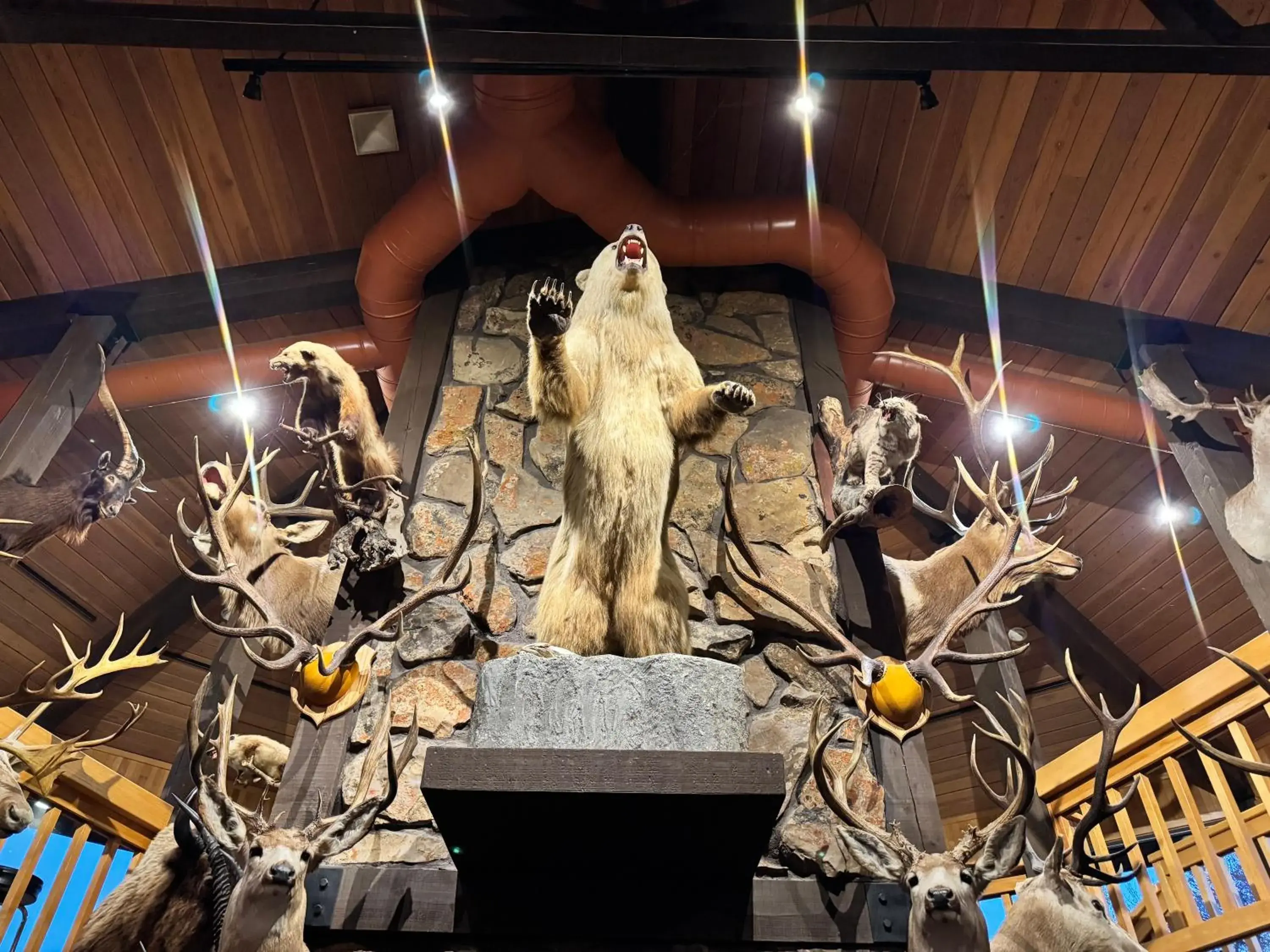 Hot Springs Hotel & Spa Hot Springs Hotel & Spa