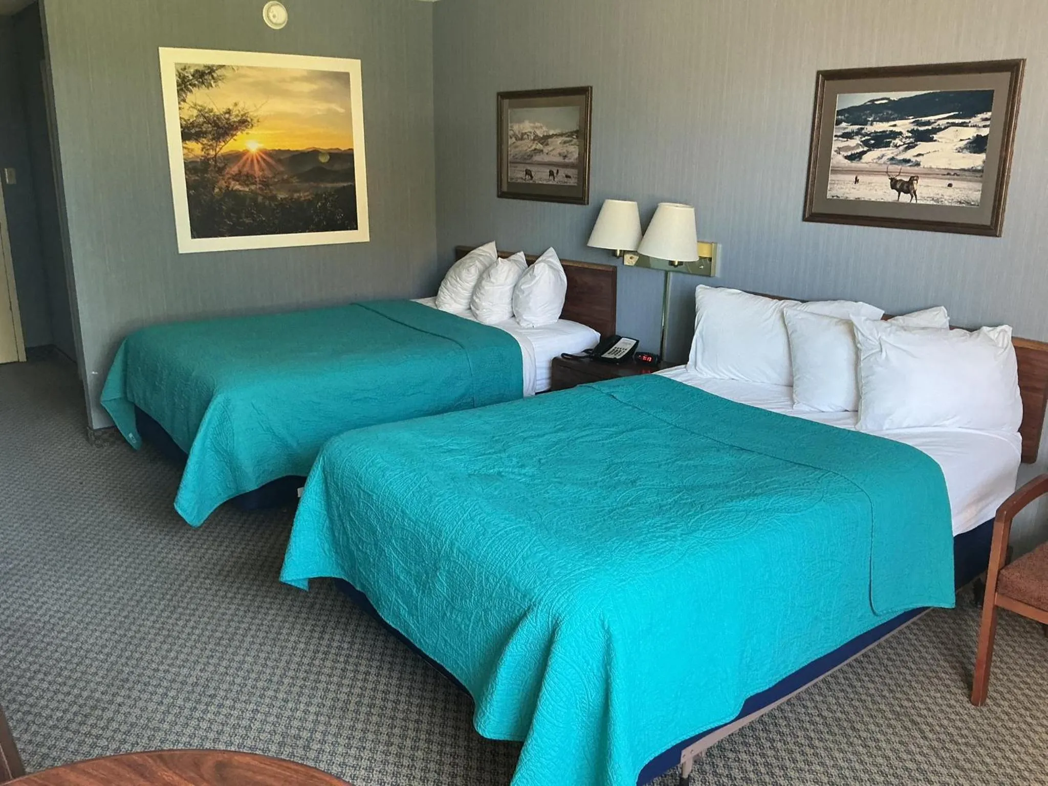 Bed in Hot Springs Hotel & Spa