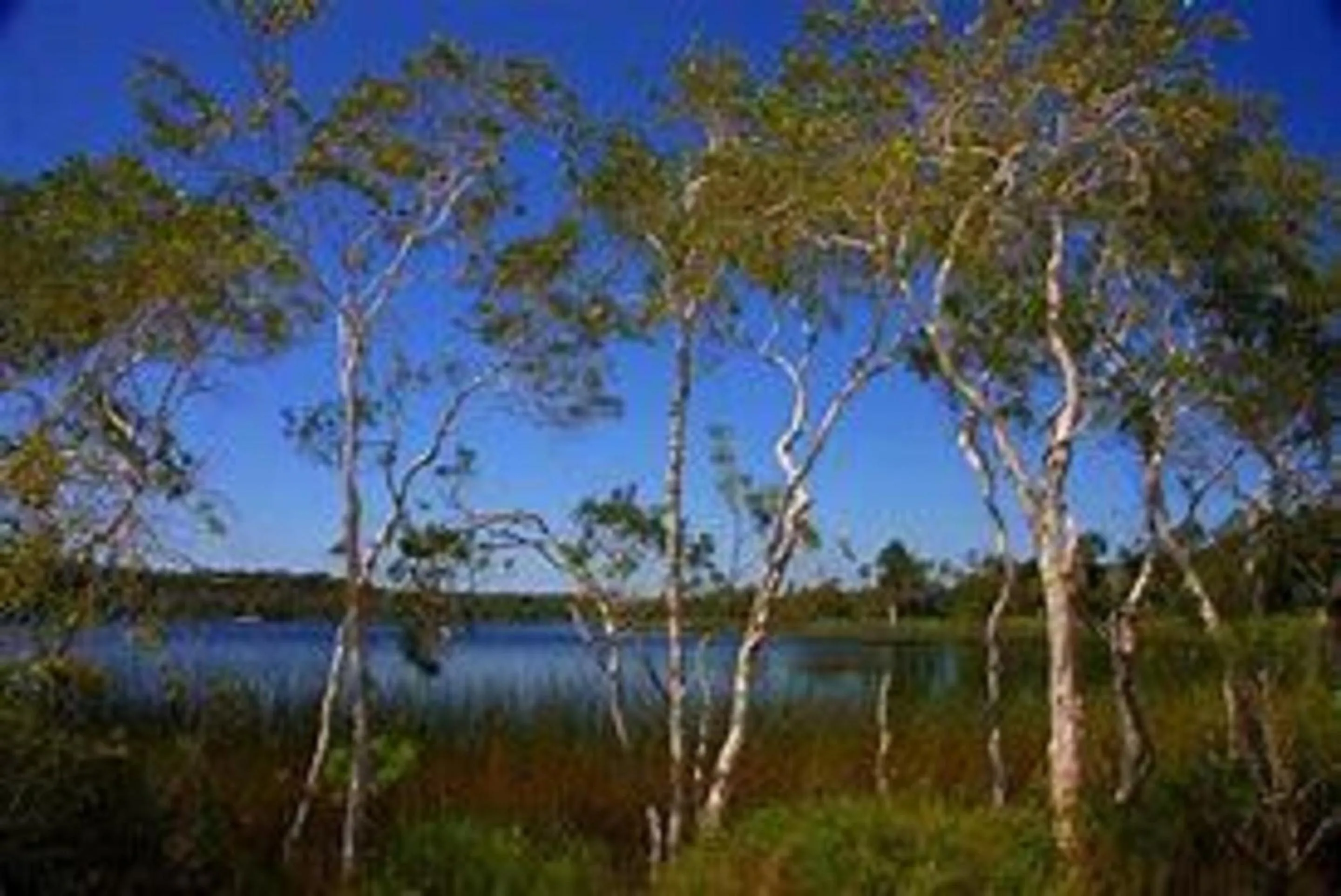 Nearby landmark in Studio 6 Vicksburg, MS- Downtown