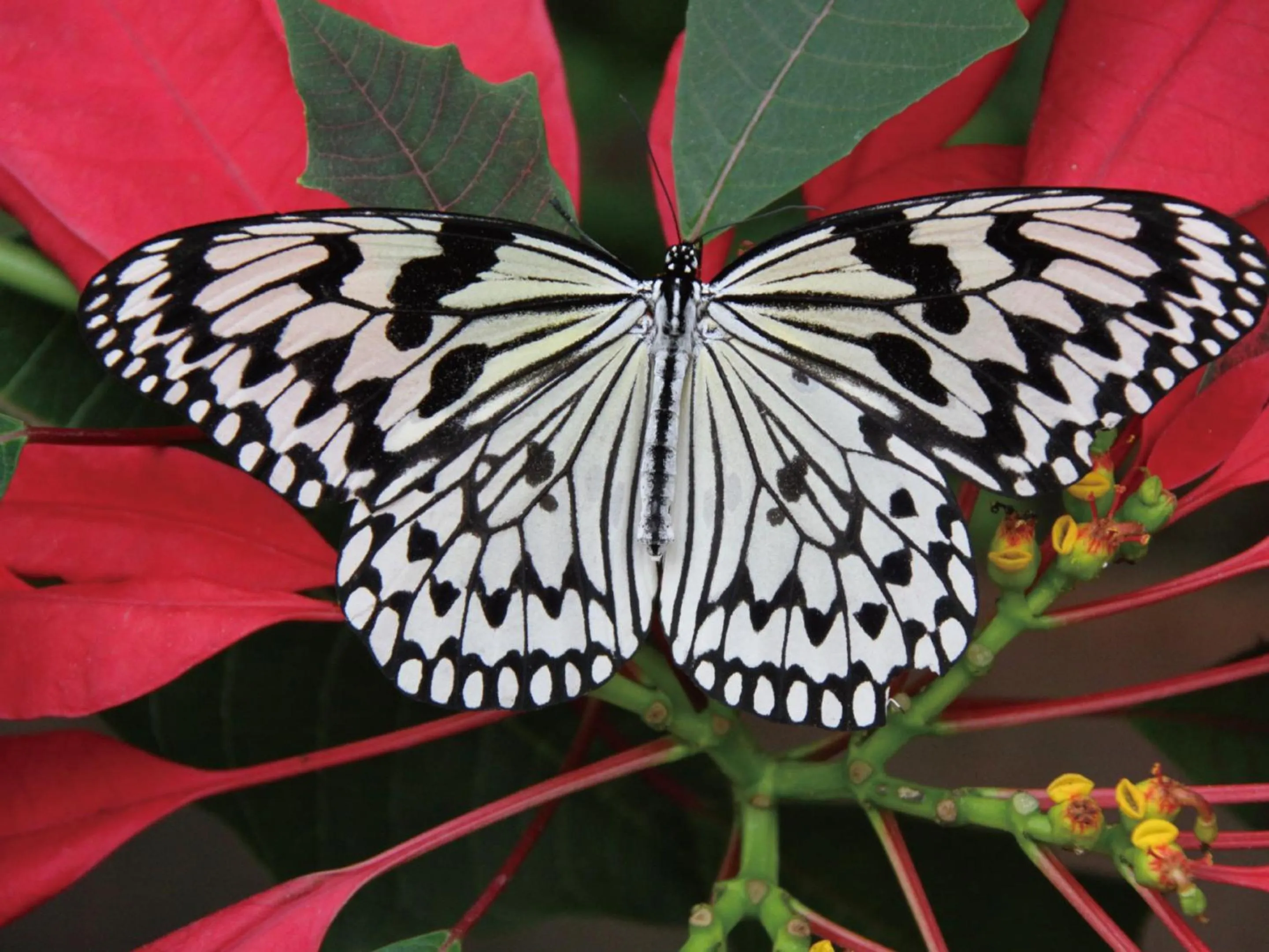 Nearby landmark in Karry CONDO CHURAUMI