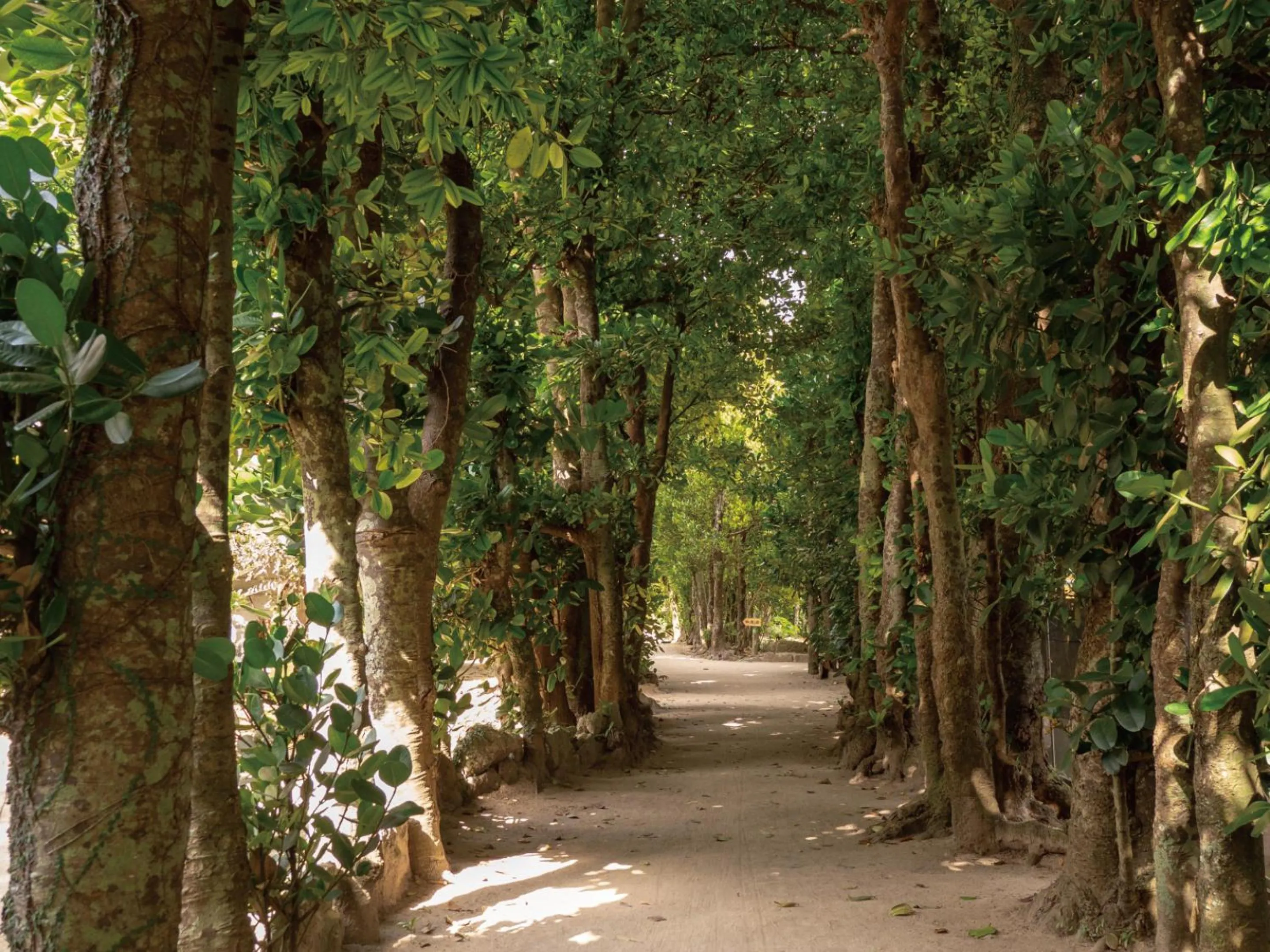 Nearby landmark in Karry CONDO CHURAUMI