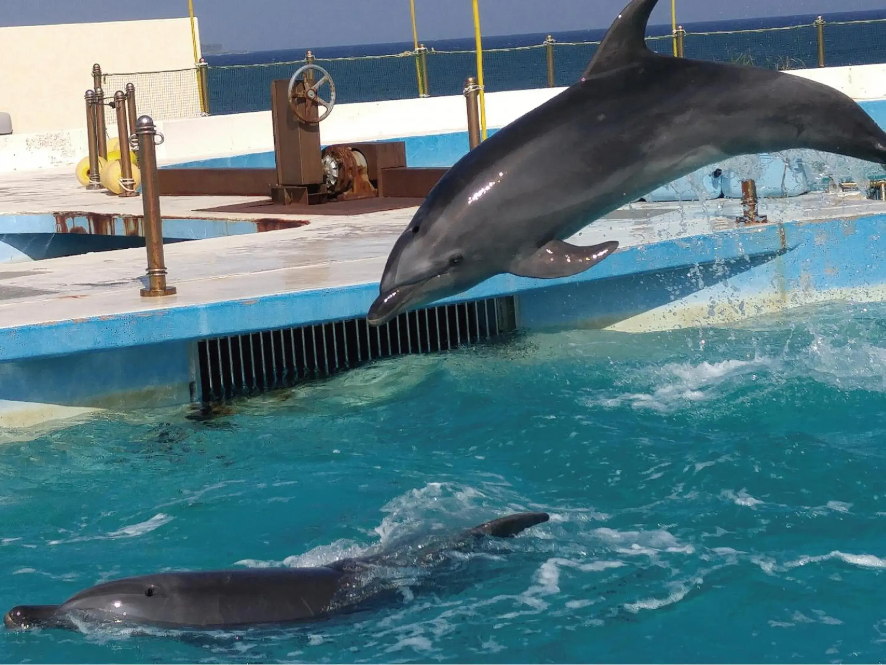 Nearby landmark in Karry CONDO CHURAUMI Nearby landmark in Karry CONDO CHURAUMI