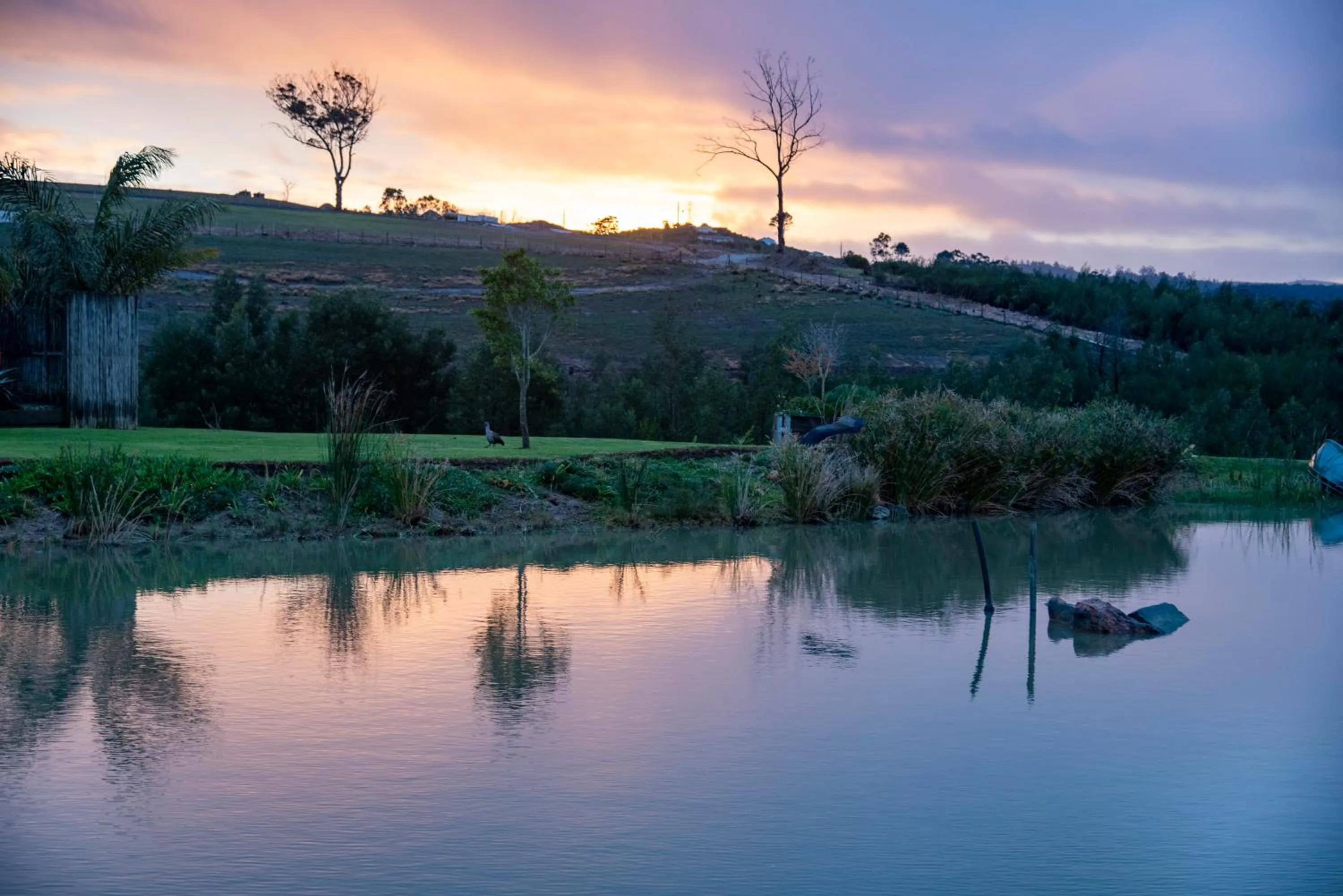 Hiking in Hudson Manor - Entabeni, Knysna