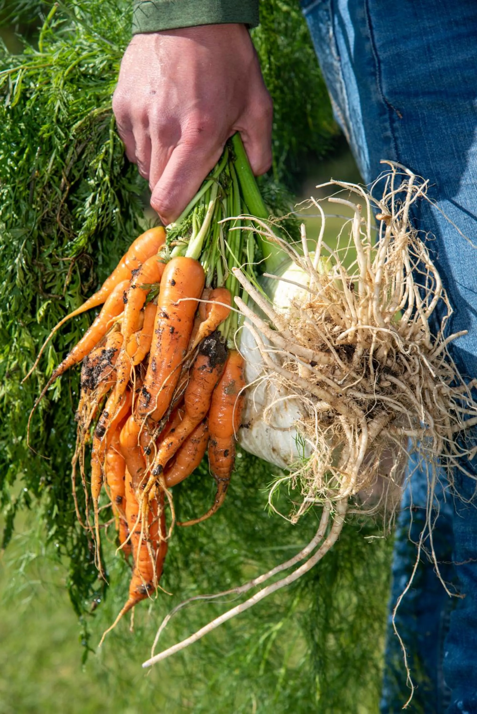 Hudson Manor - Entabeni, Knysna