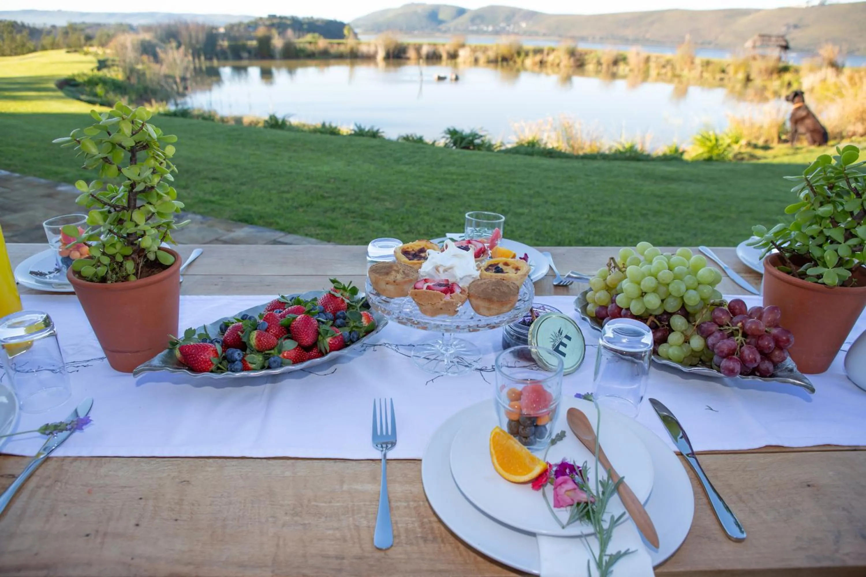 Breakfast in Hudson Manor - Entabeni, Knysna