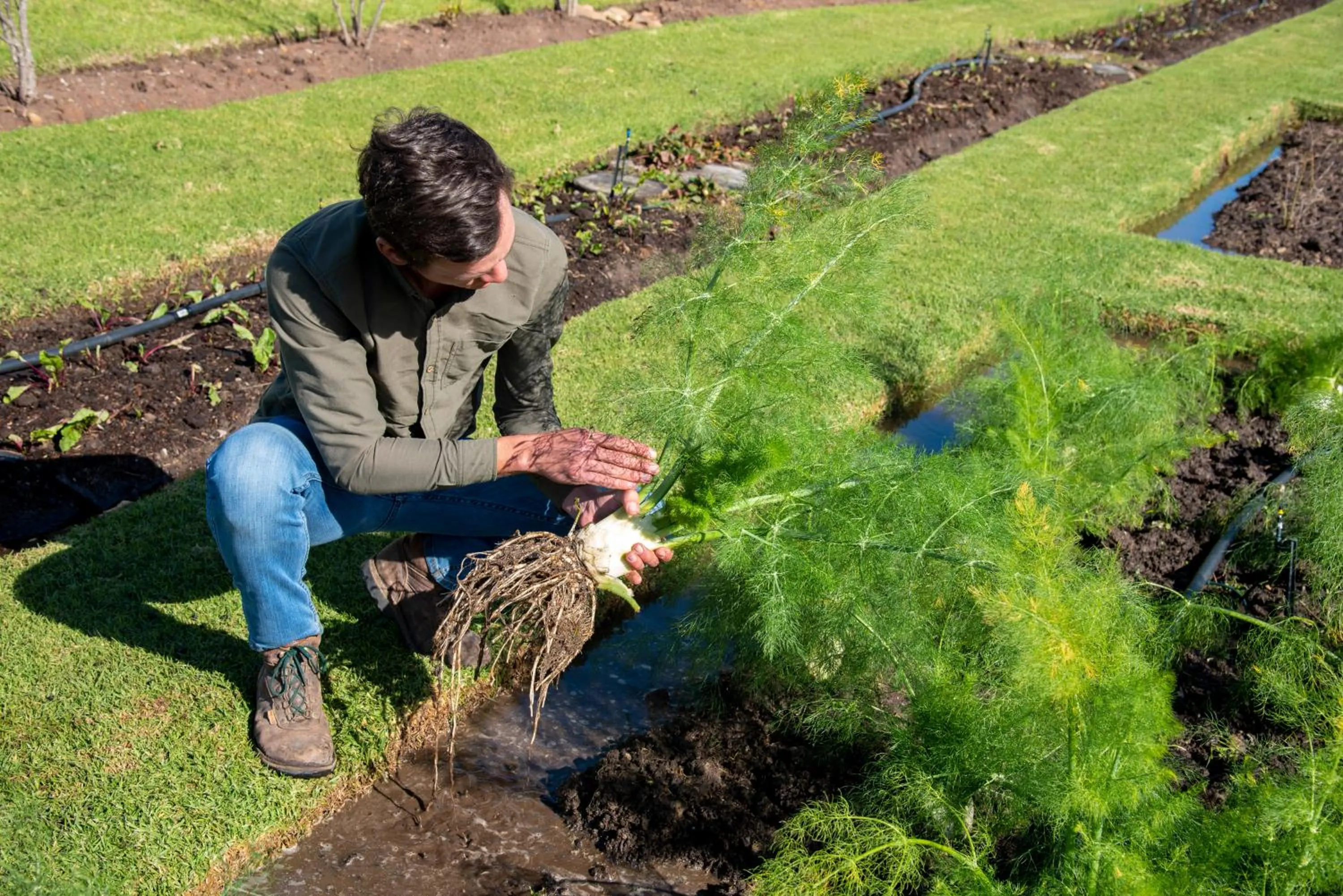 Hudson Manor - Entabeni, Knysna