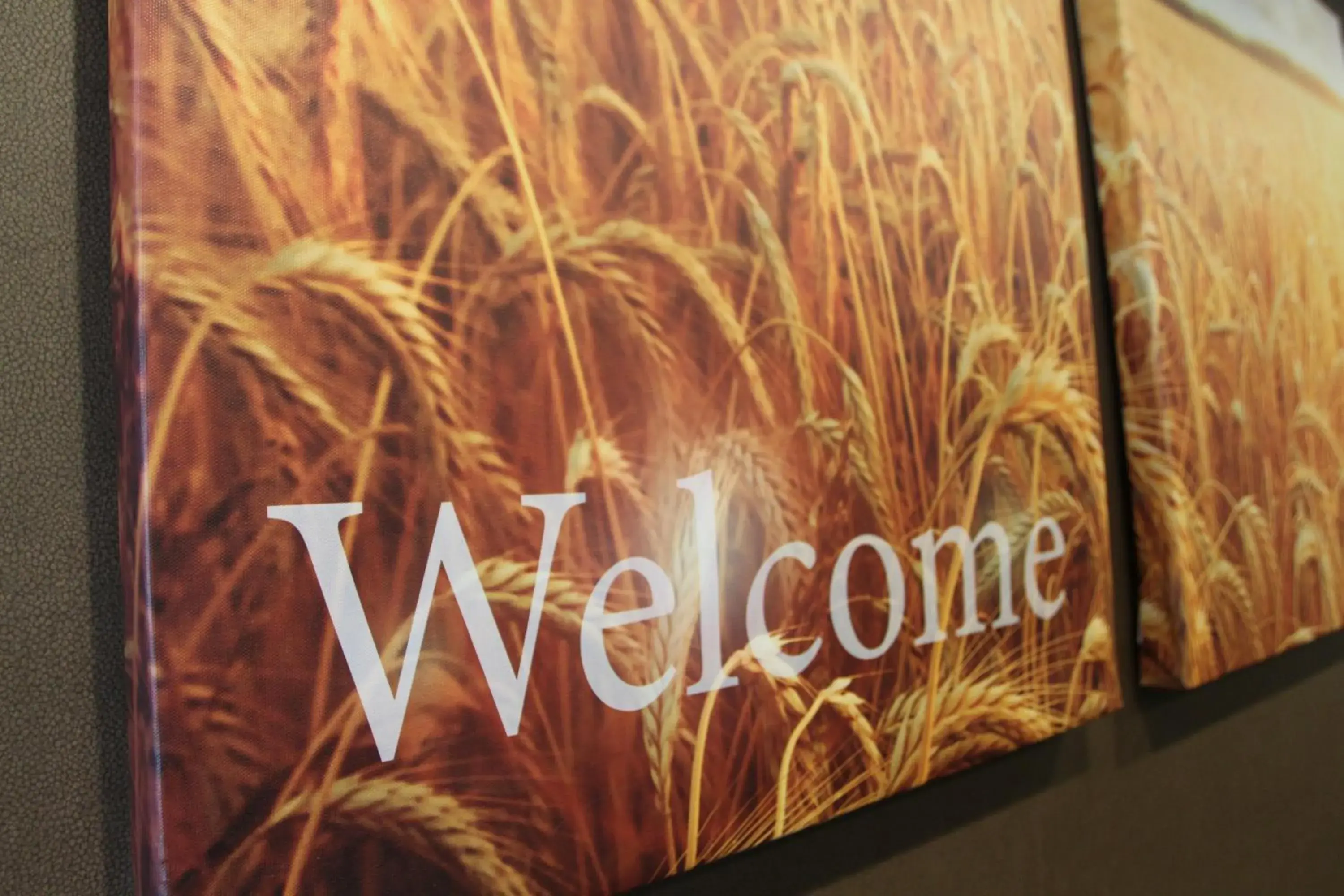 Lobby or reception in C'mon Inn Grand Forks Lobby or reception in C'mon Inn Grand Forks