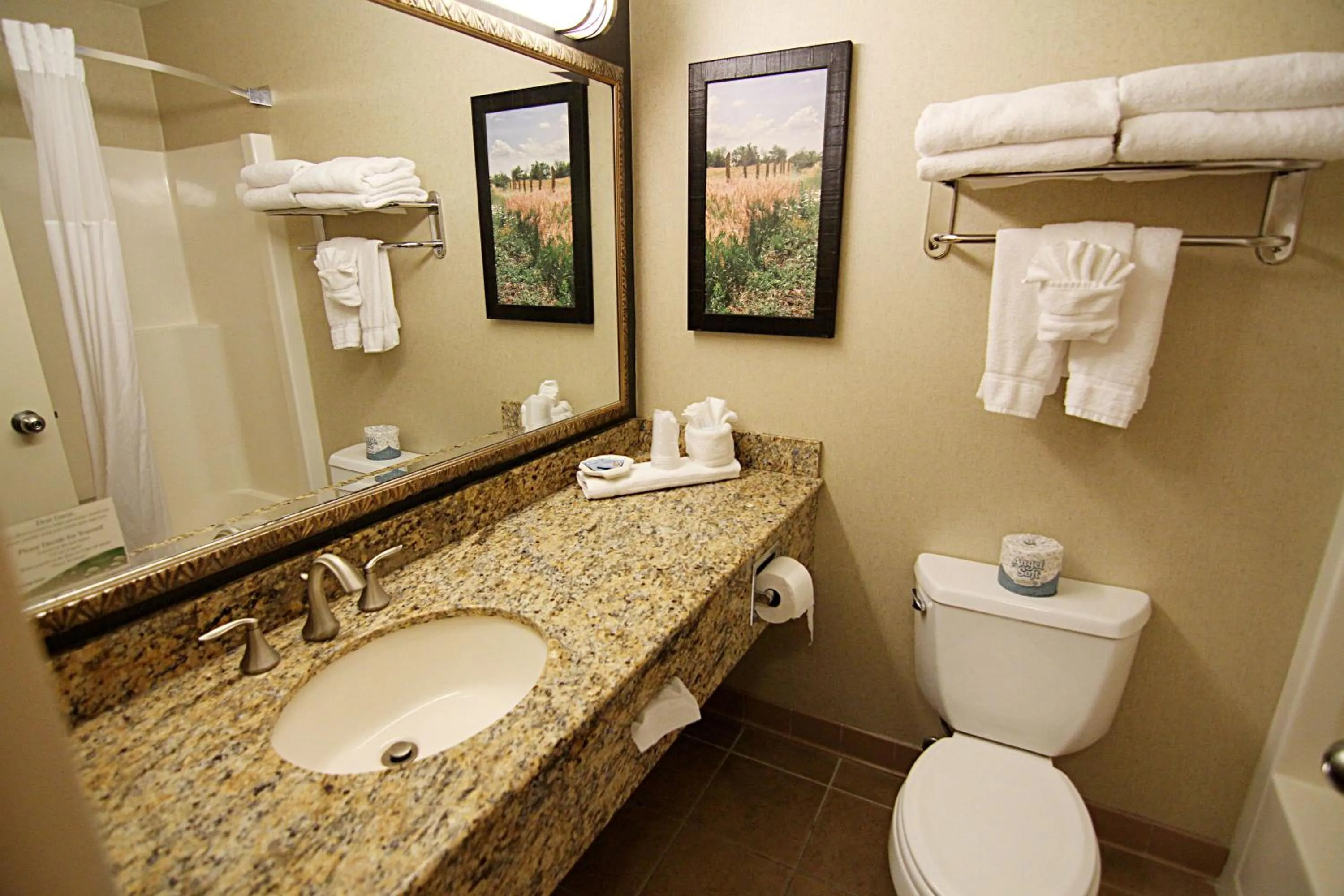 Bathroom in C'mon Inn Grand Forks