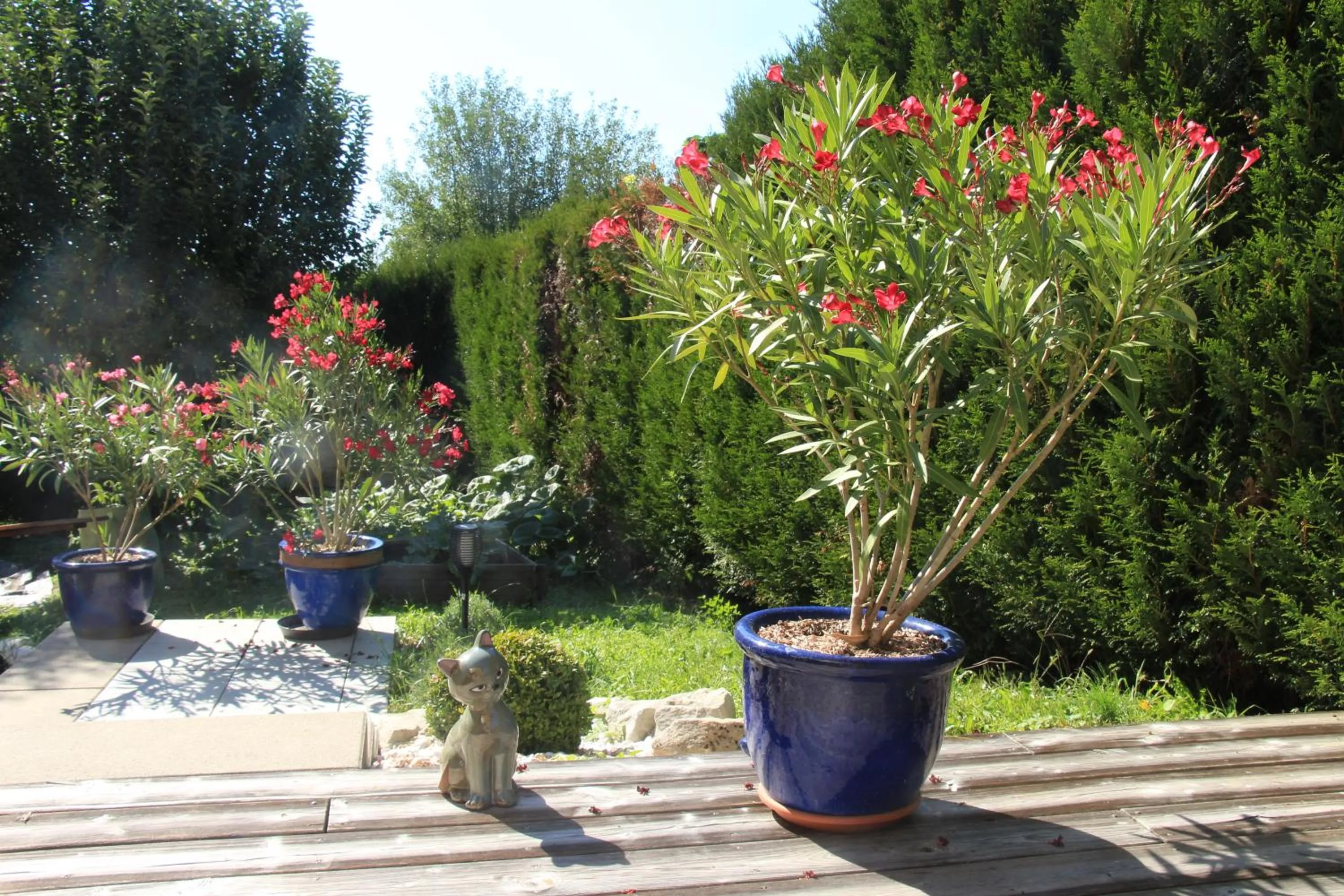 La Villanelle maison d'hôtes