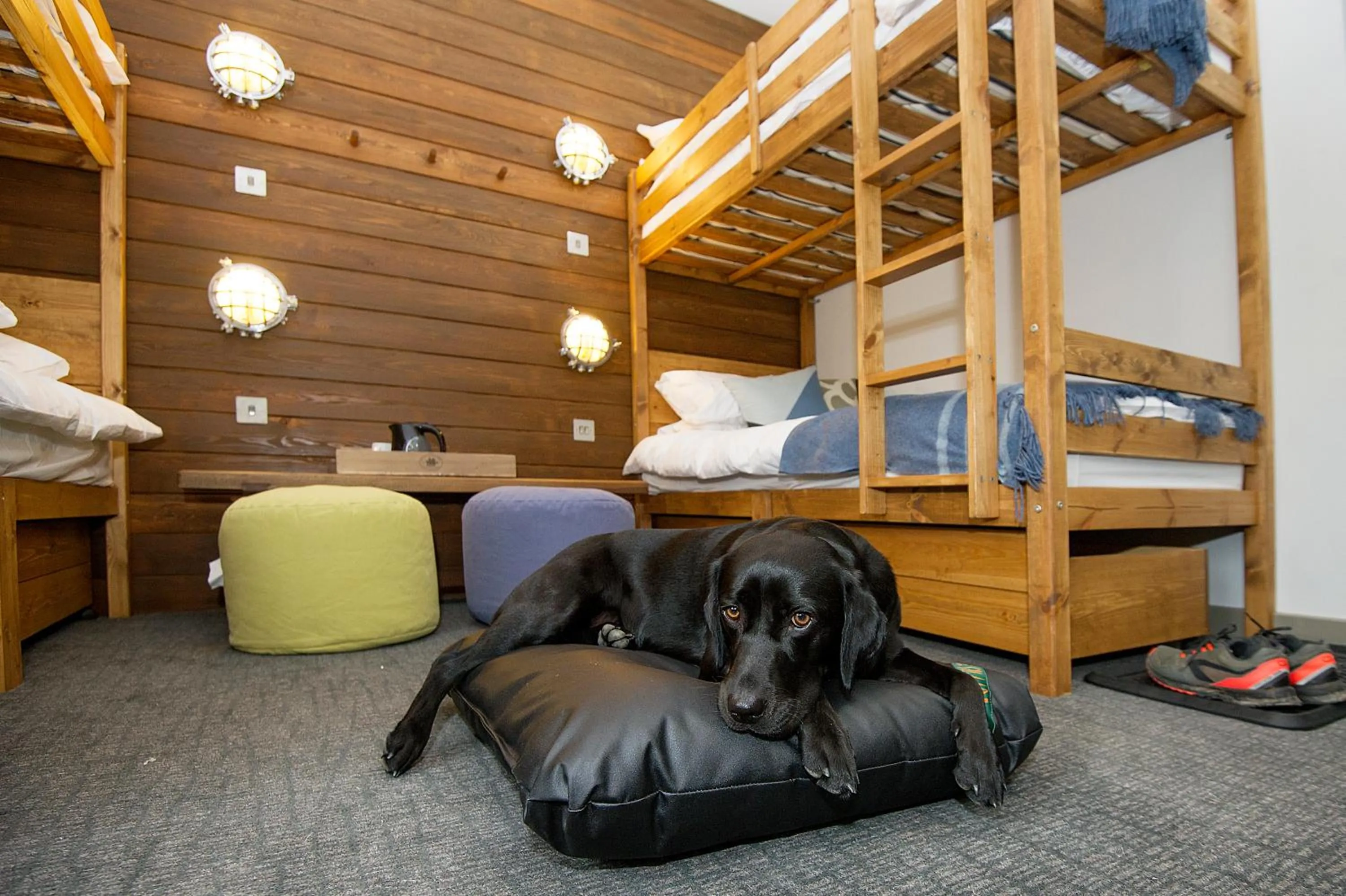 Pets, Bed in Lock Chambers, Caledonian Canal Centre