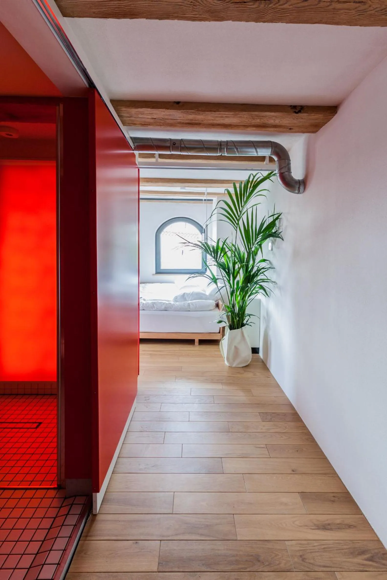 Toilet in Apartamenty Monka