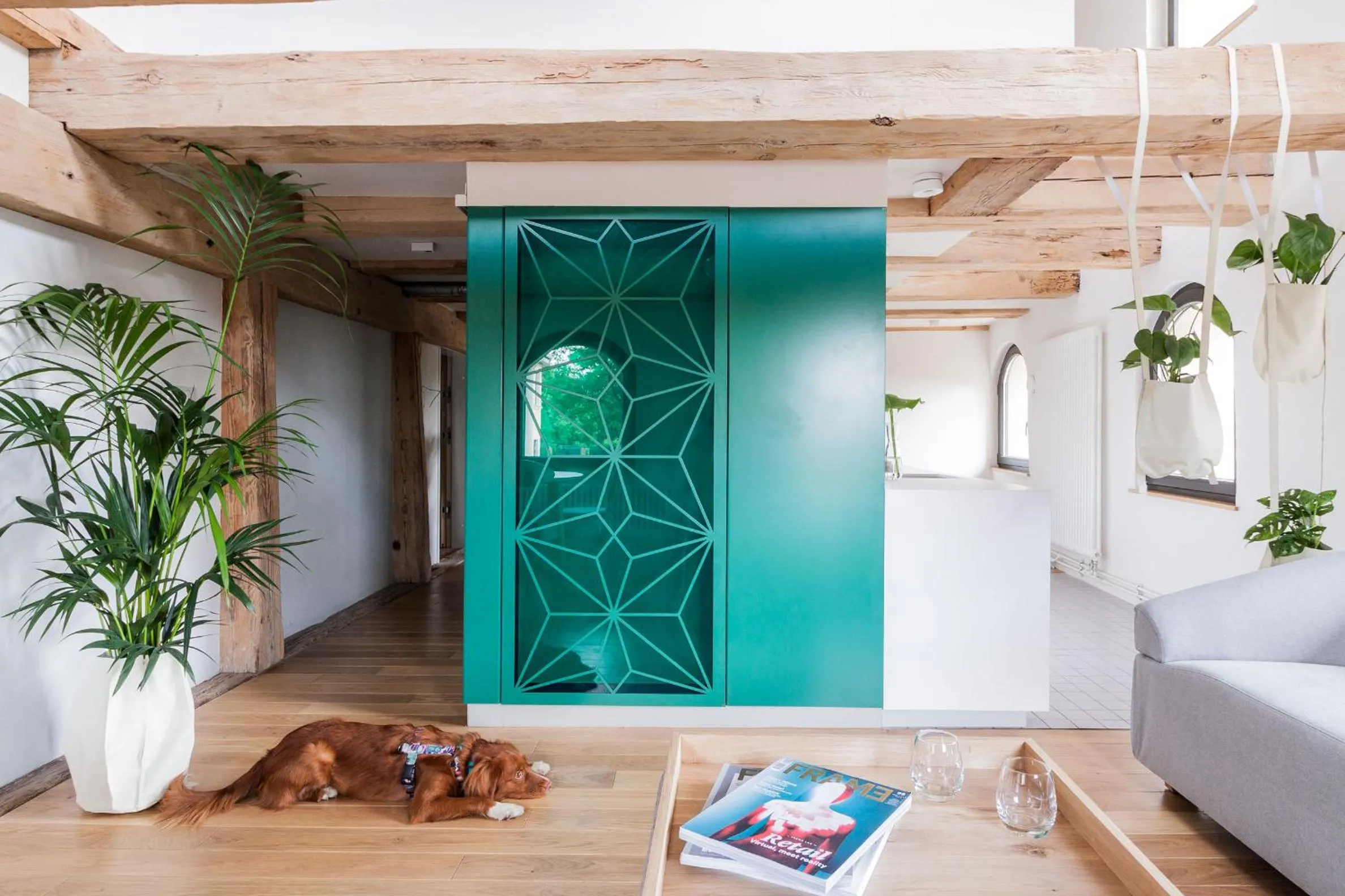 Bathroom, Bed in Apartamenty Monka