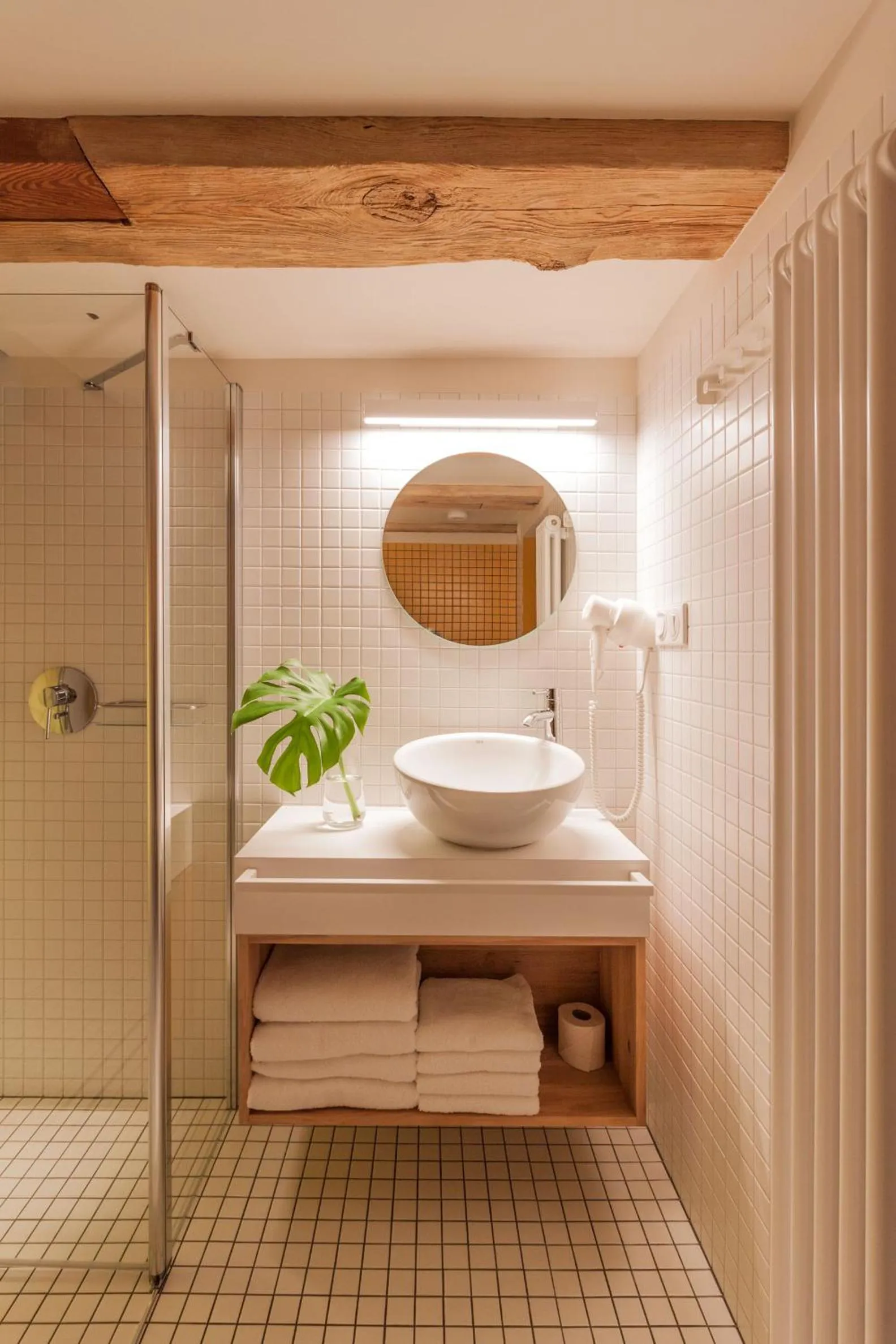 Shower in Apartamenty Monka