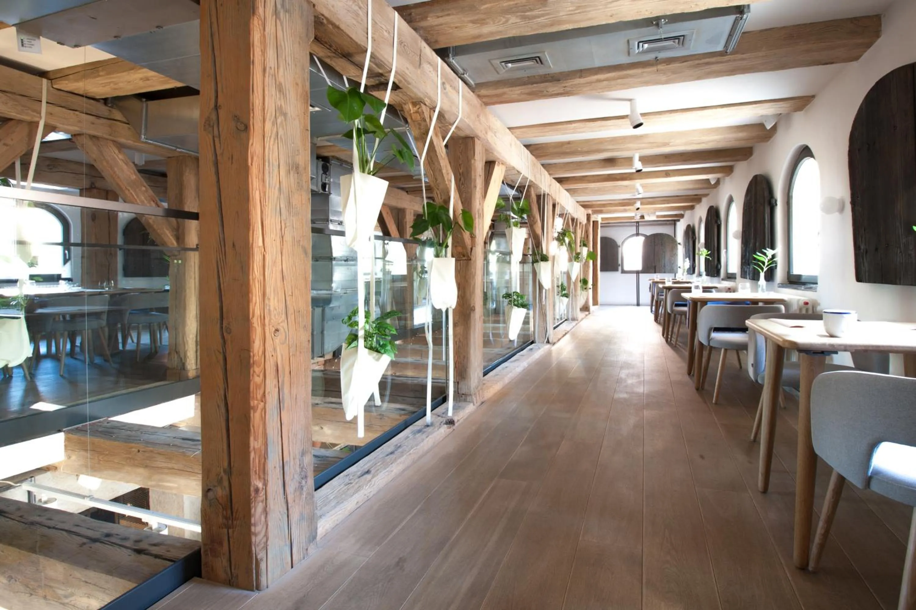 Restaurant/places to eat in Apartamenty Monka