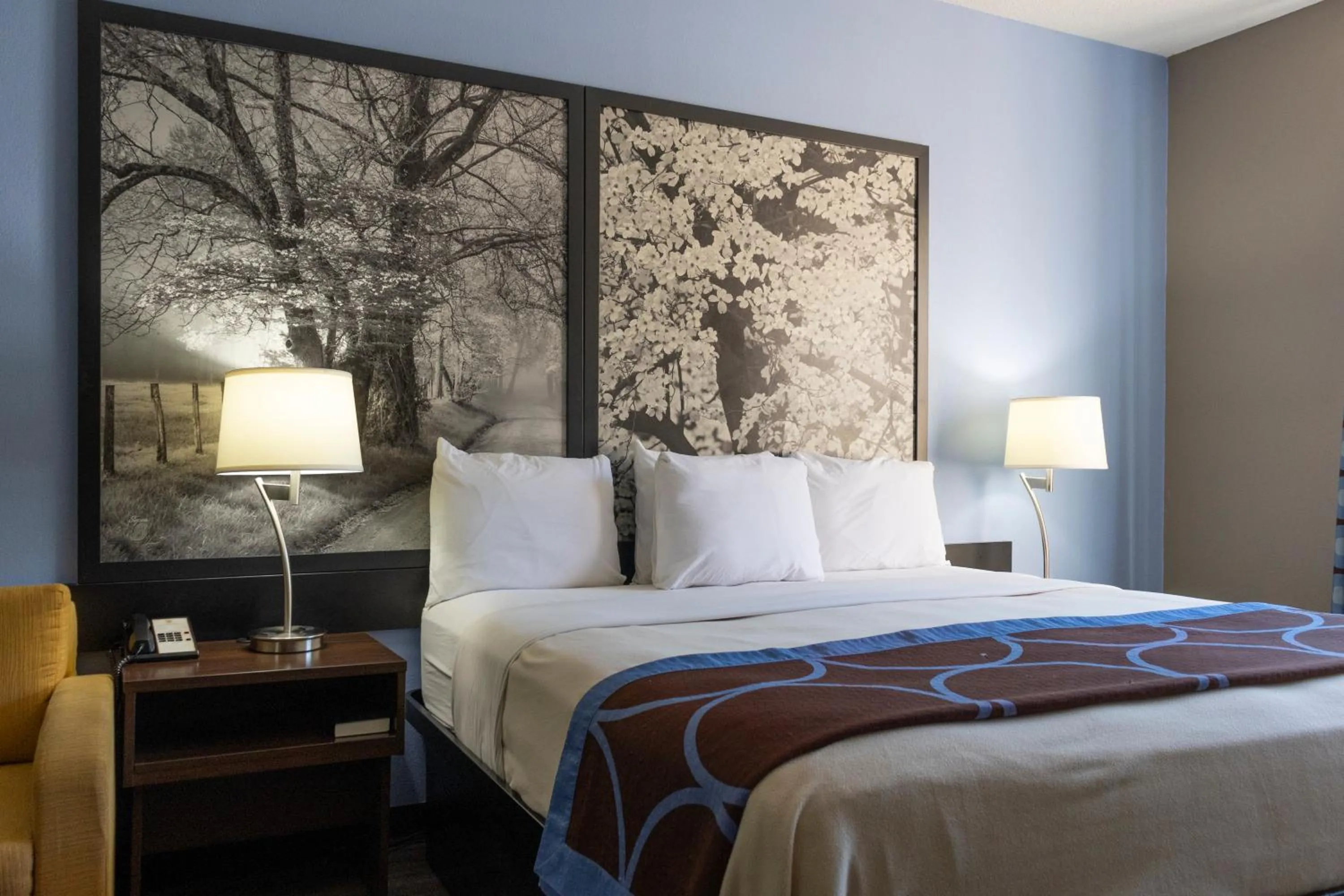 Bed in Super 8 by Wyndham Smithfield-Selma