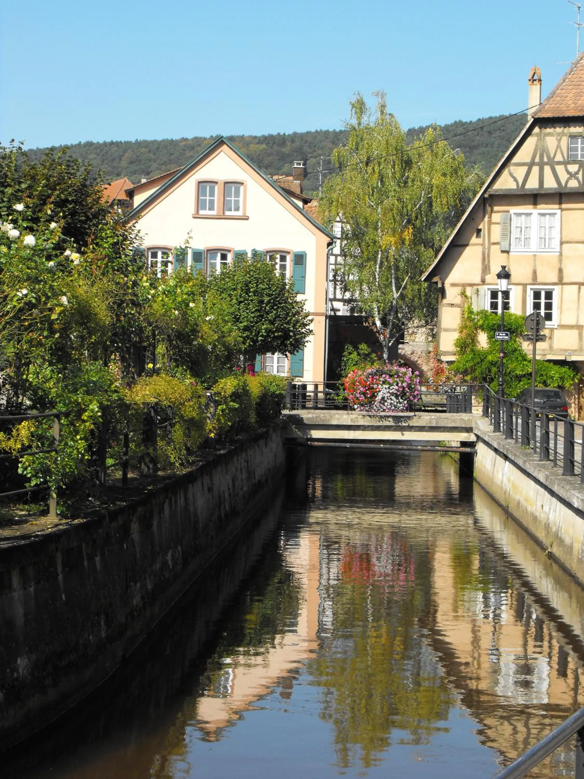 Area and facilities in Hôtel d'Alsace