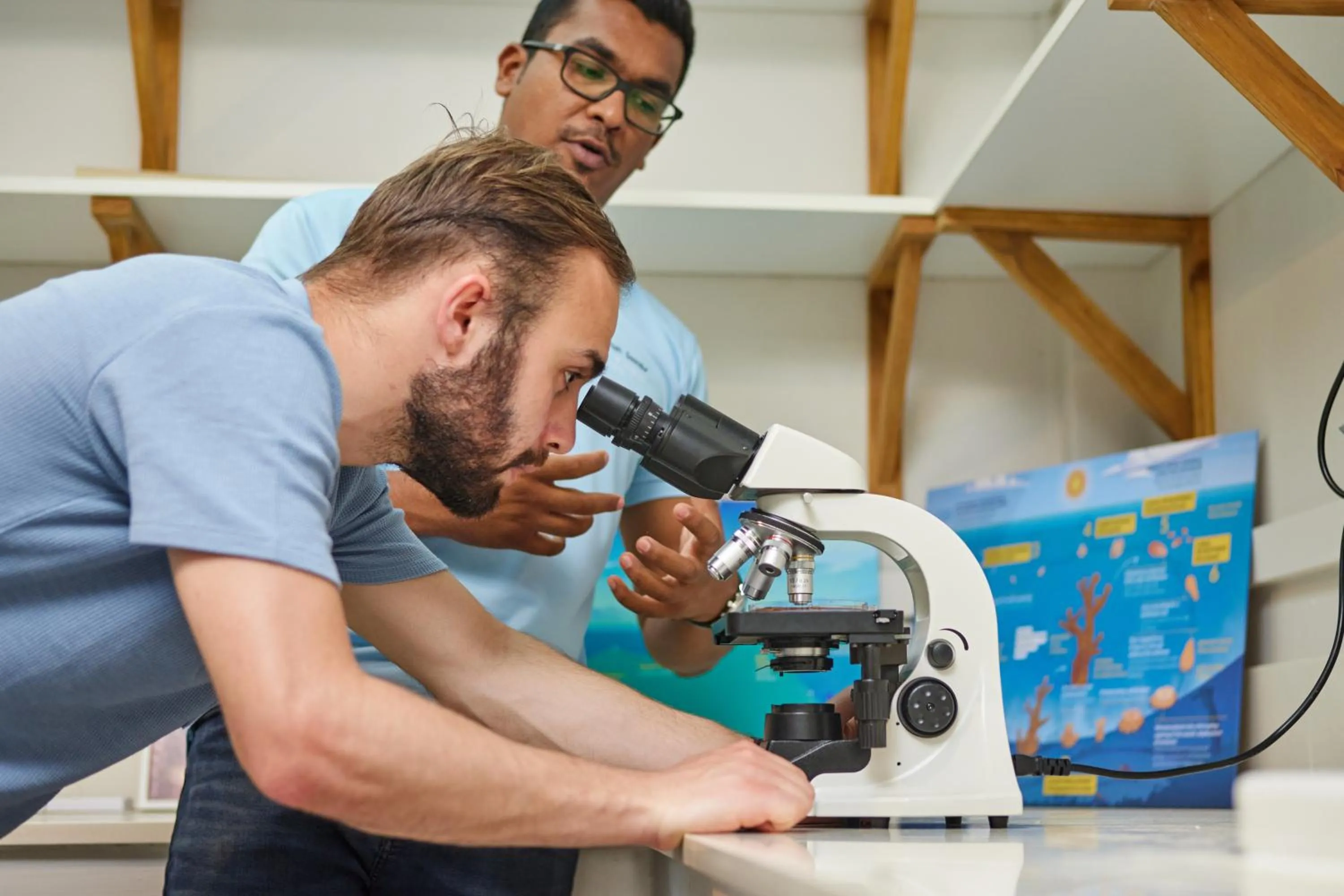 Activities in Lagoon Attitude (Adults Only)